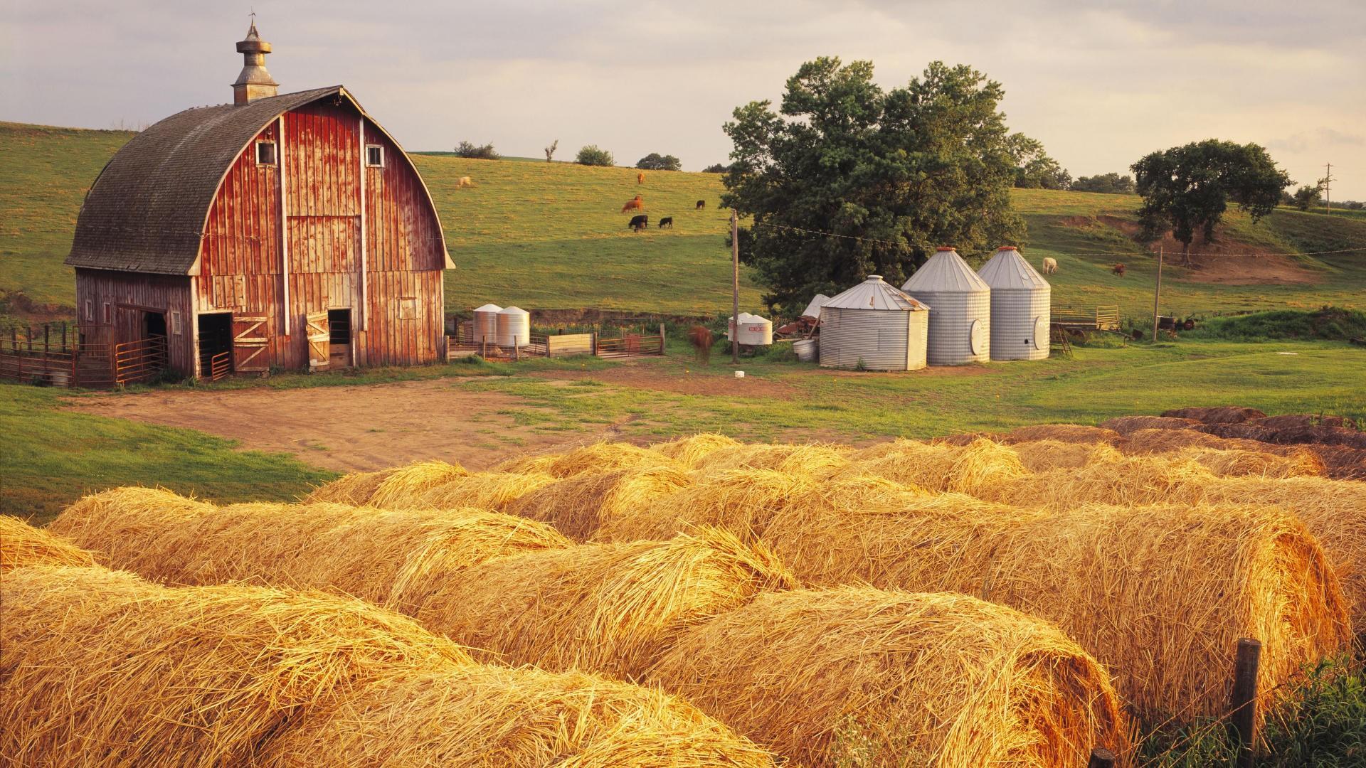 Farm Field Wallpapers - Top Free Farm Field Backgrounds - WallpaperAccess