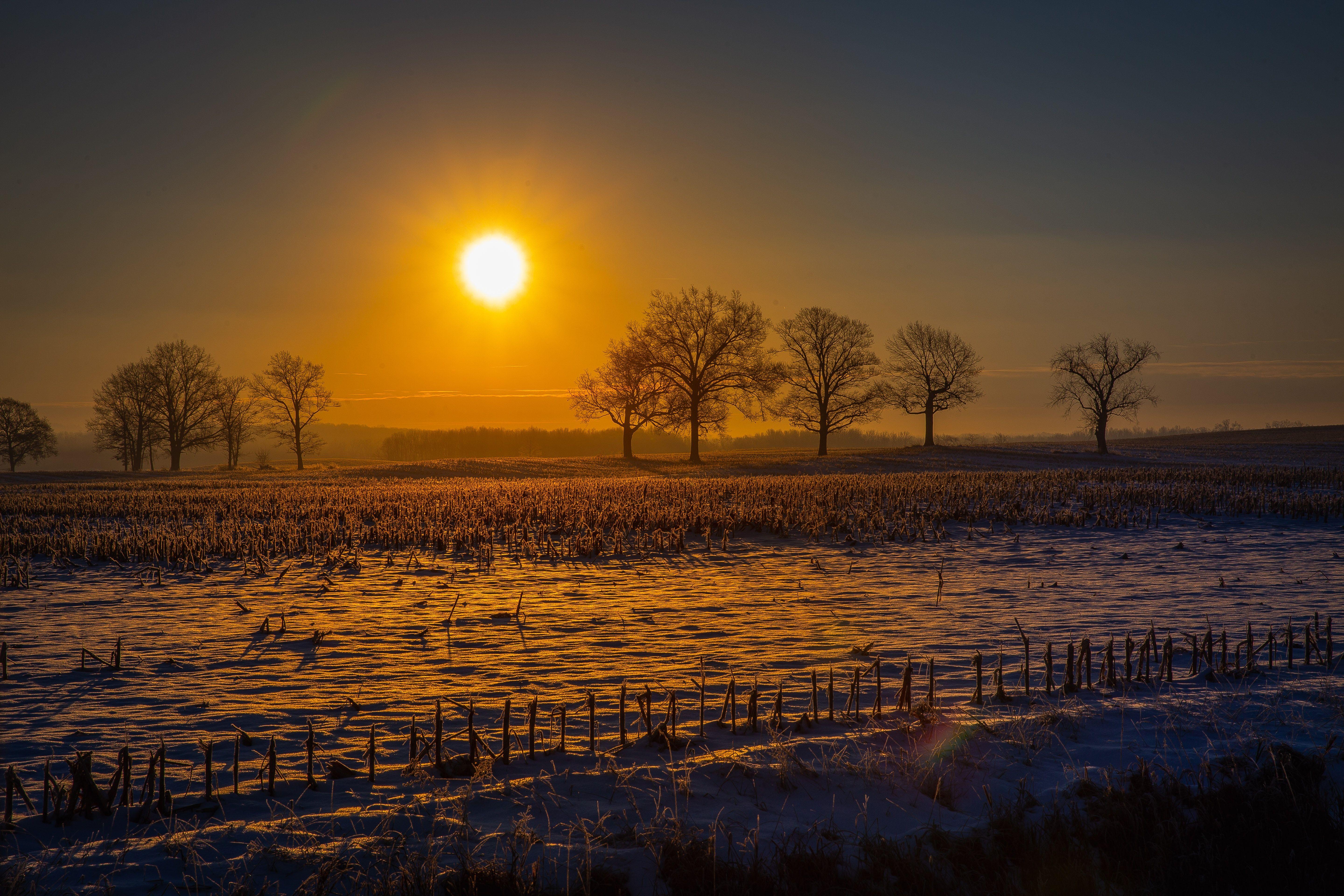 5760x3840 Farm Field Sun Beams 5k, HD Nature, 4k Wallpaper, Image