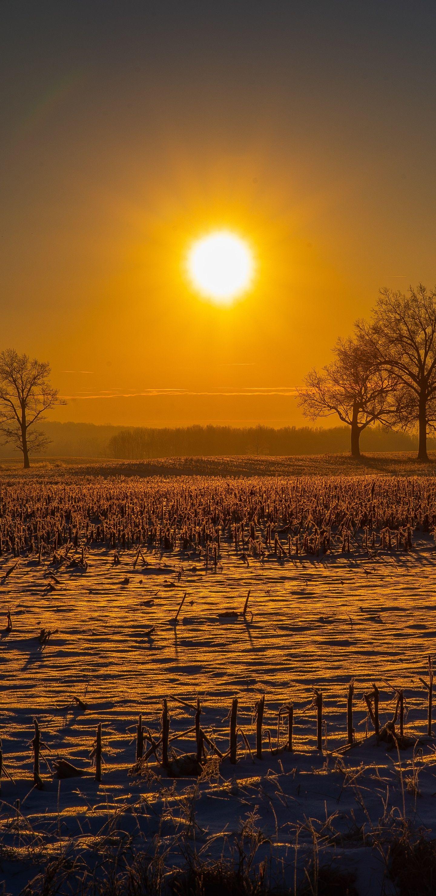 1440x2960 Farm Field Sun Beams 5k Samsung Galaxy Note S S8