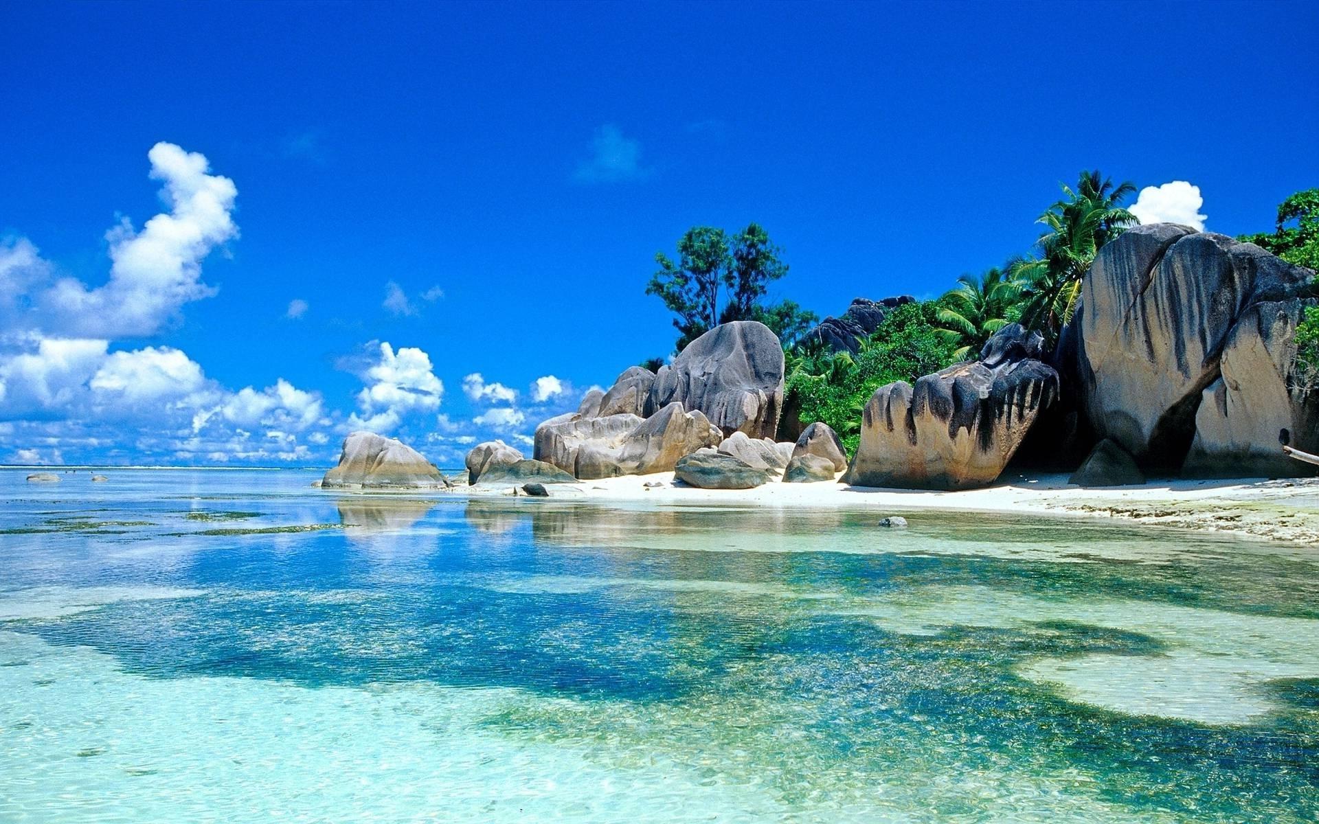 1920x1200 Tropical Desktop Wallpaper