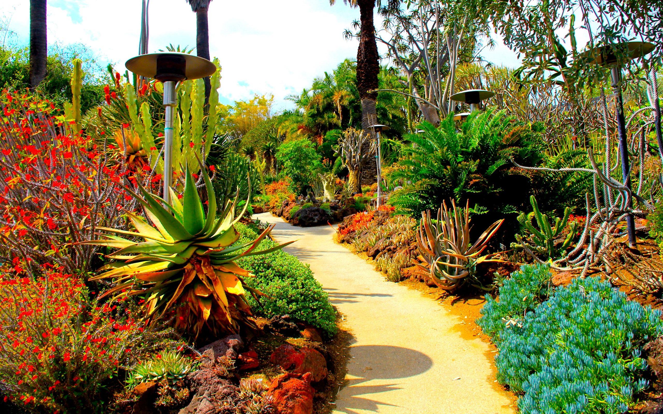 2560x1600 Usa Cactus Gardens Botanical San Marino Ca :