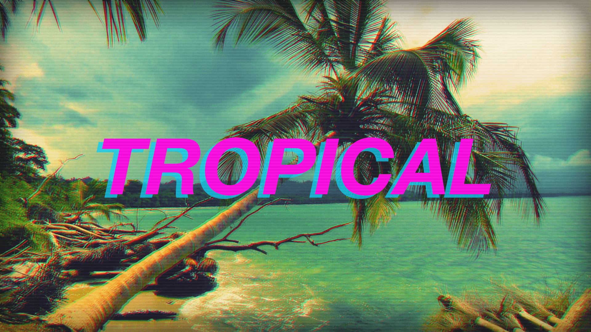 1920x1080 Tropical