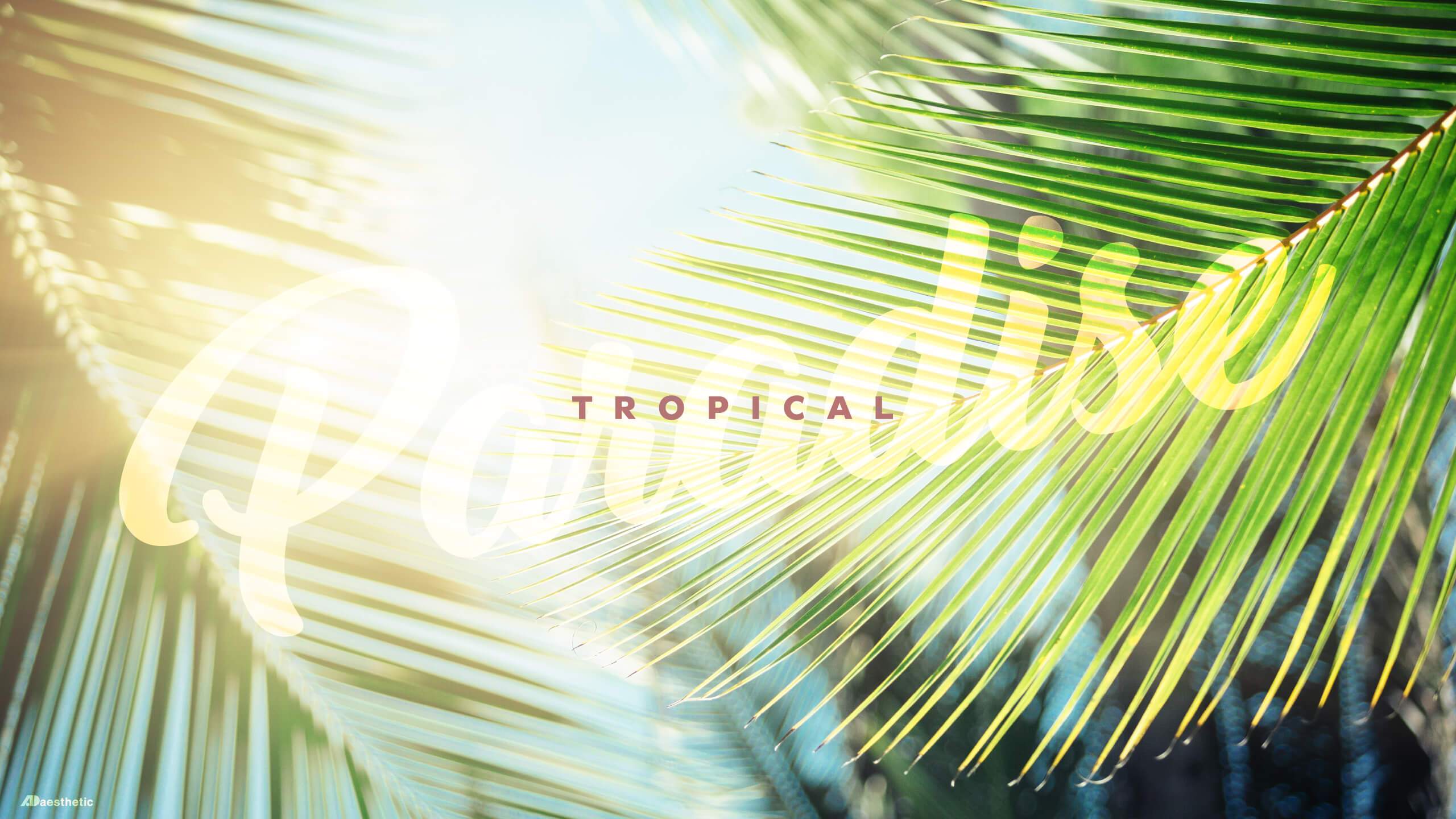 2560x1440 Free Desktop and Phone Wallpaper from AD Aesthetic