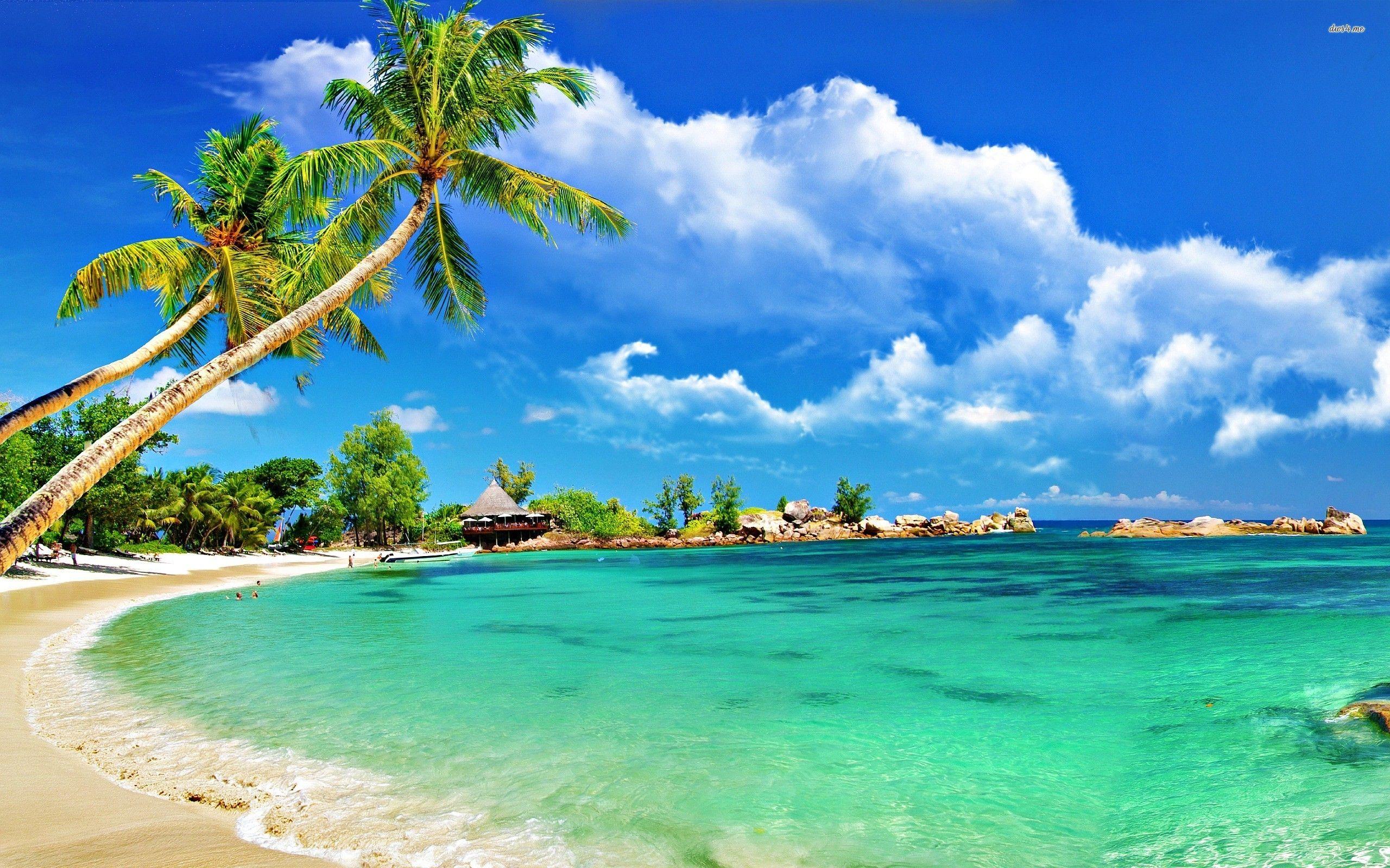 2560x1600 Tropical Desktop Wallpaper