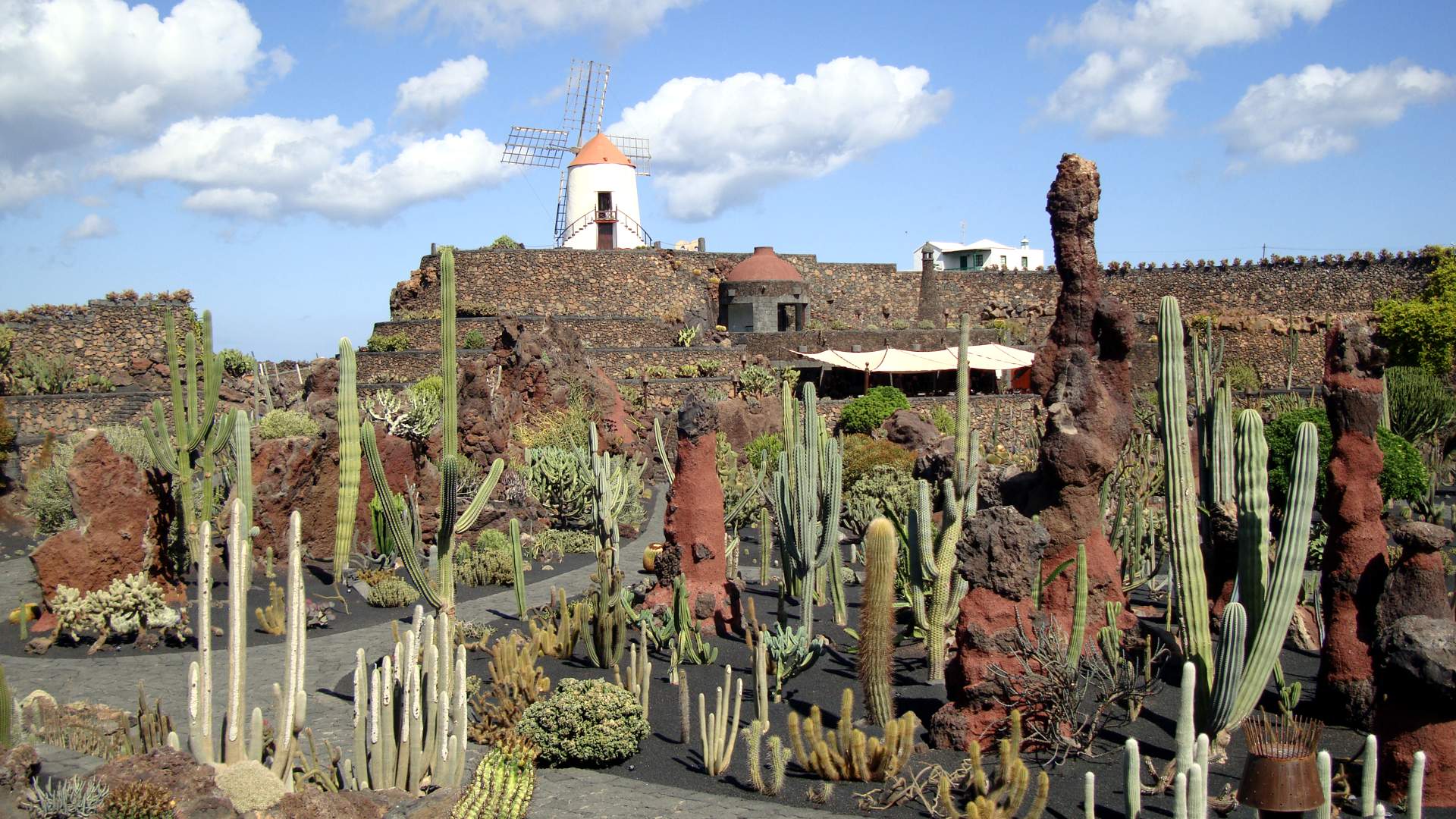 1920x1080 Free Manrique cactus garden on Lanzarote 2 desktop wallpaper. Scenic 554 - Cactus Garden Wallpaper