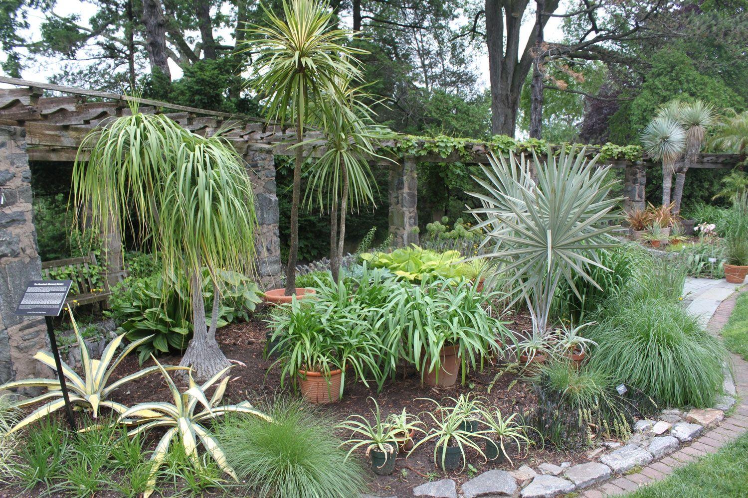 1500x1000 Cactus Garden Design Cactus Garden Design Patios Namib Garden Cactus 127 - Cactus Garden Wallpaper