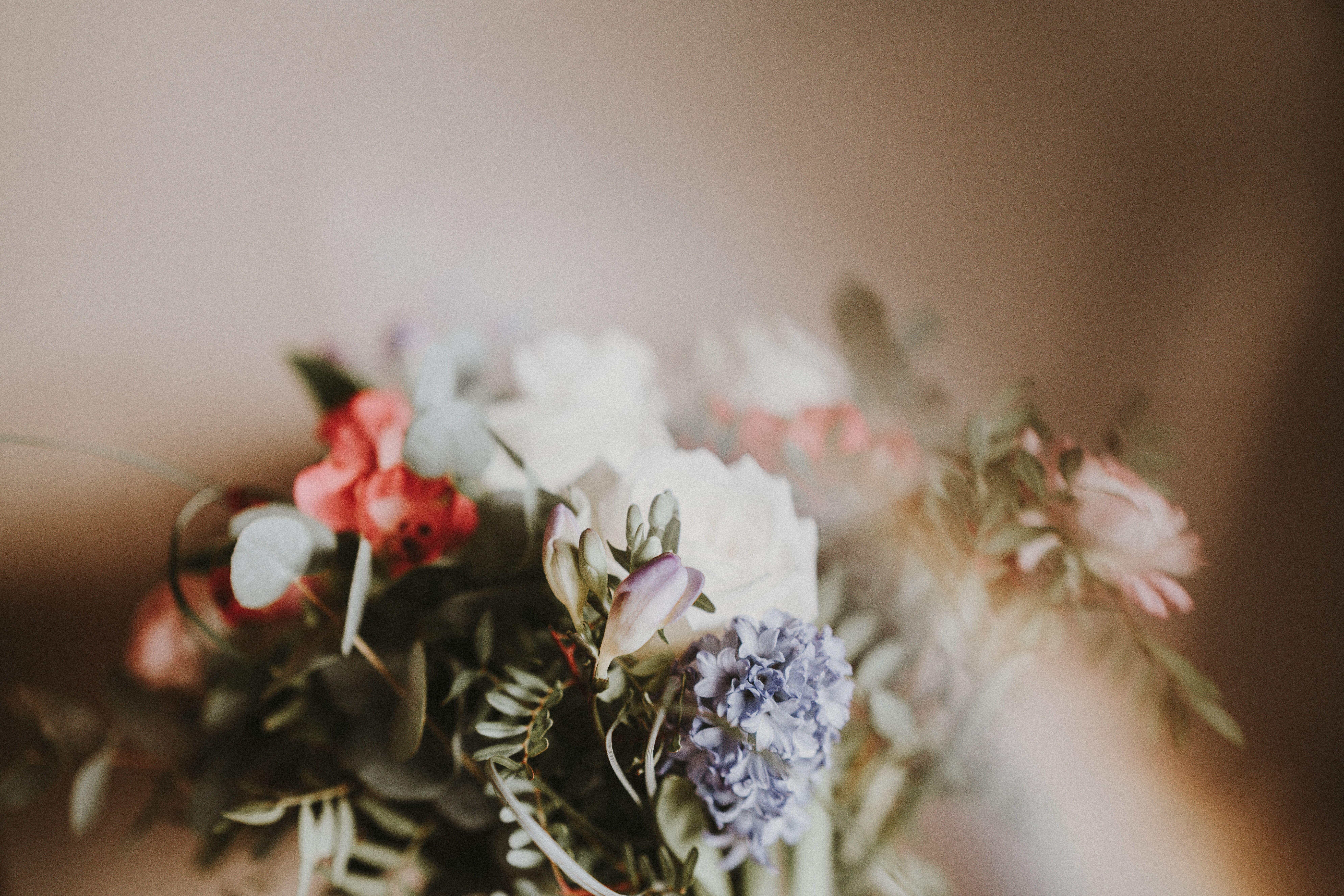 7952x5304 Funeral Flower Picture. Download Free Image