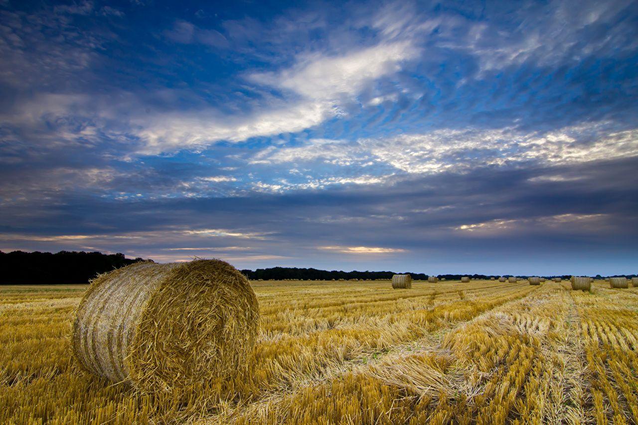 1280x853 image England United Kingdom Norfolk Nature Sky Fields Hay Straw