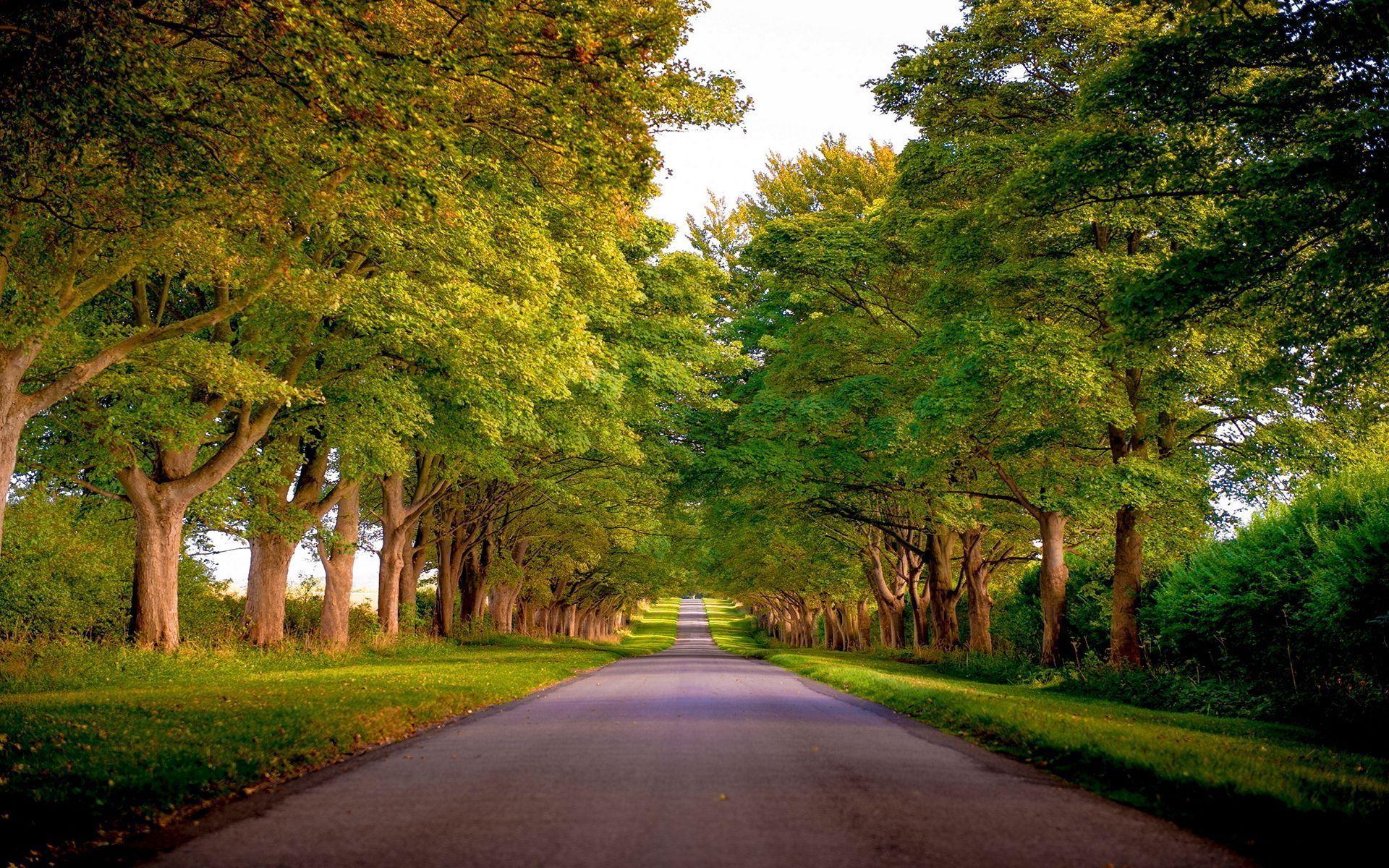 1920x1200 Norfolk kings avenue sandringham engalnd wallpaperx1200