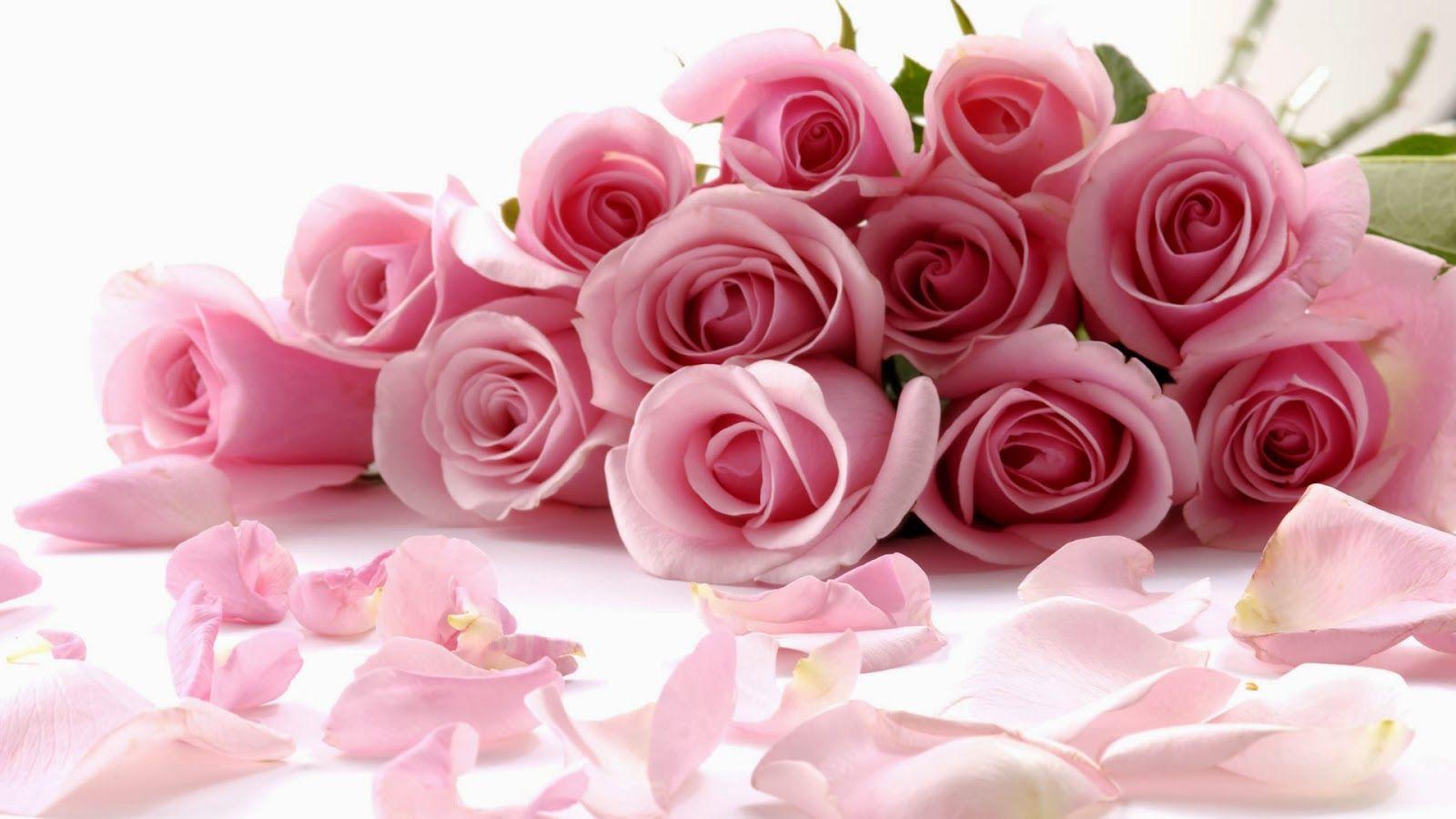 1600x900 Blog Garden Florist: North York Flower Shop & Toronto