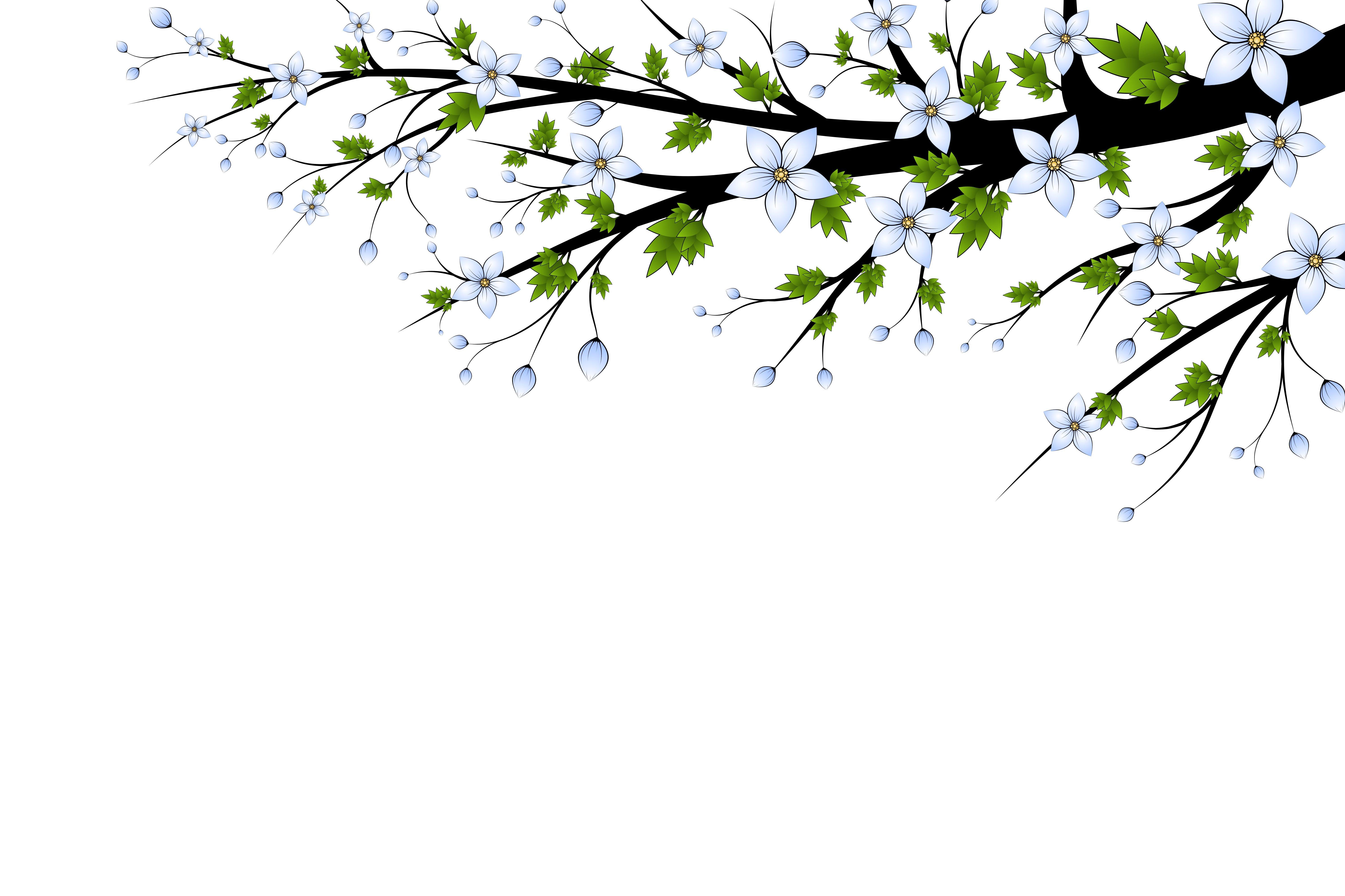6000x4000 With Sympathy Background. Sympathy