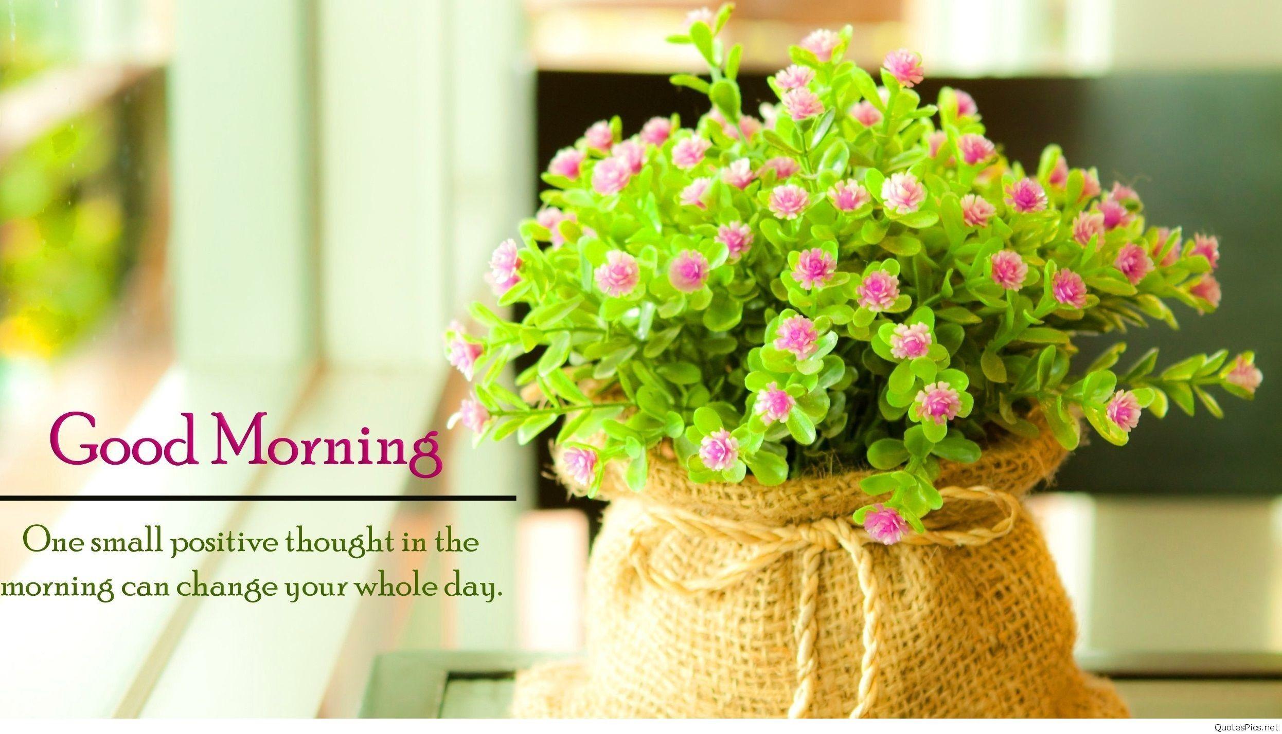 2492x1428 New Good Morning Wallpaper