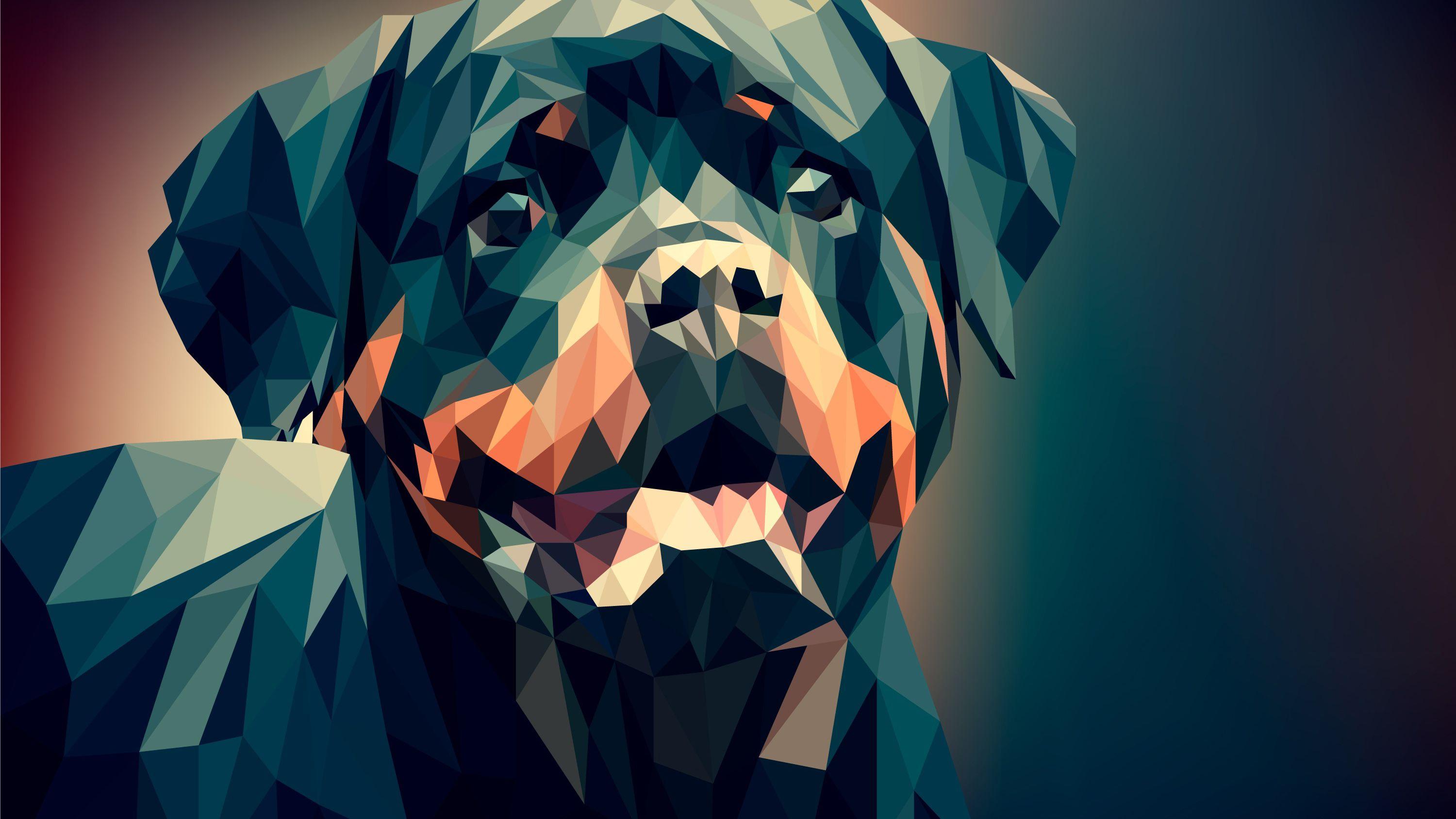 3000x1688 Best Dogo HD Wallpaper Free Download Desktop Laptop