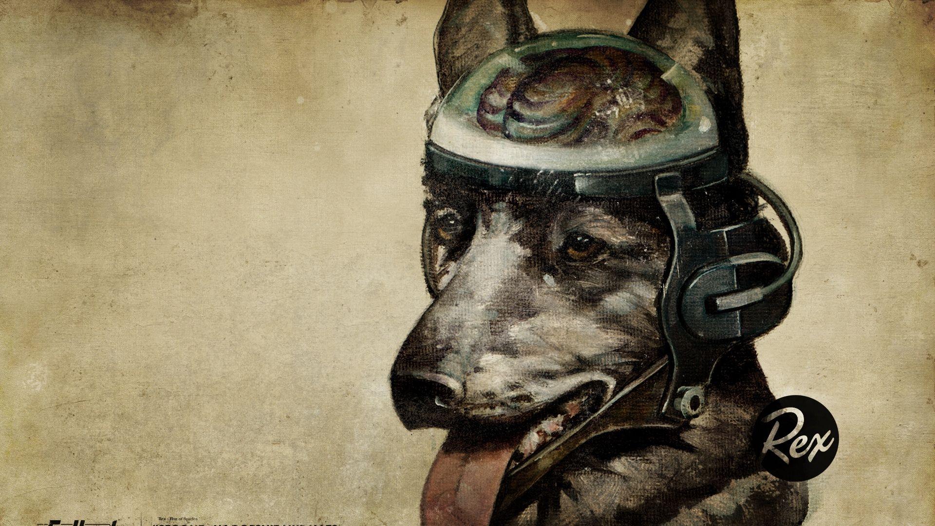1920x1080 Download Wallpaper 1920x1080 fallout, quote, dog, look Full HD 1080p HD Background