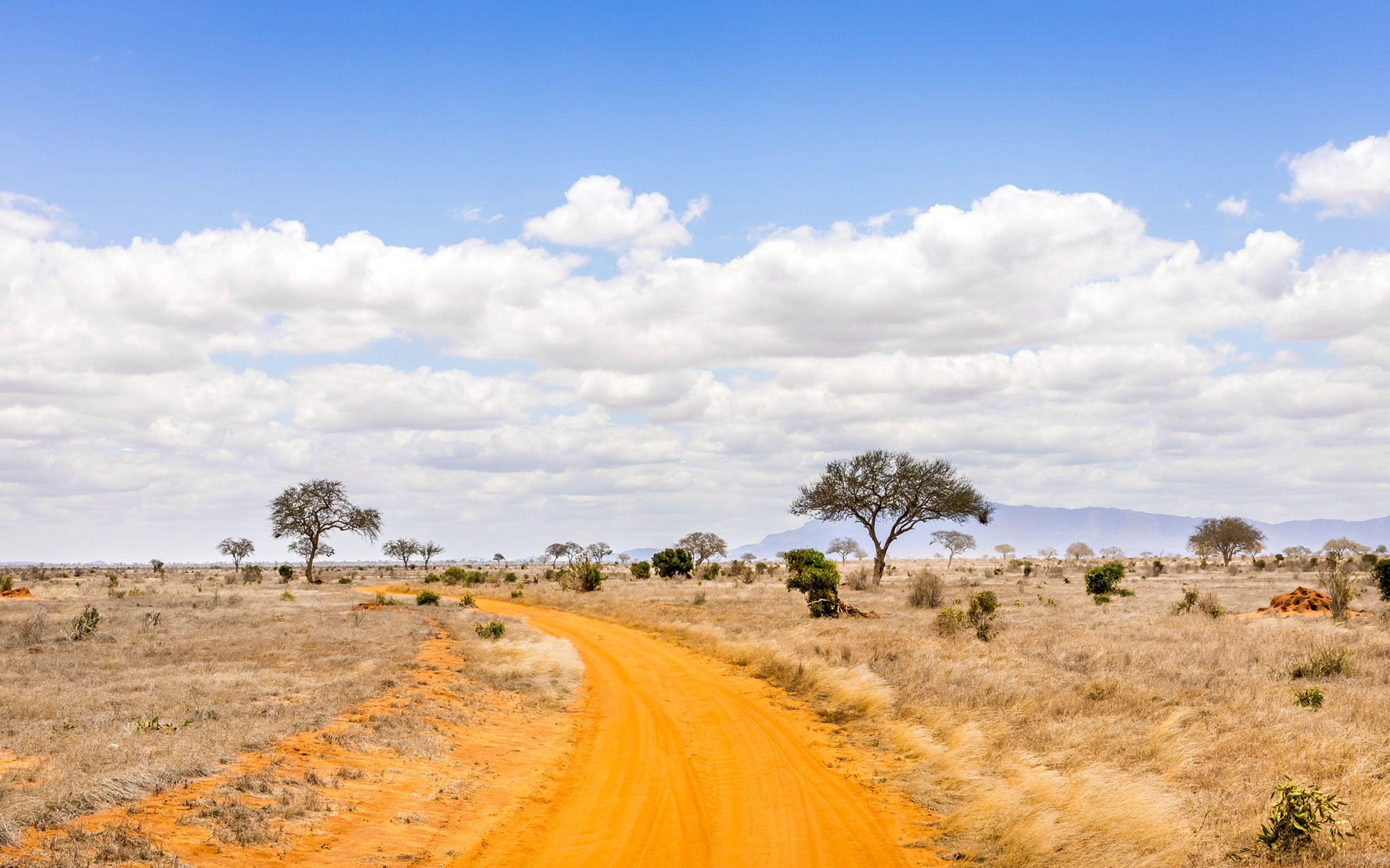 3840x2400 Safari Road In Kenya Savannah Landscape Photography 4k Ultra HD Wallpaper For High Resolution Computer And Laptop :