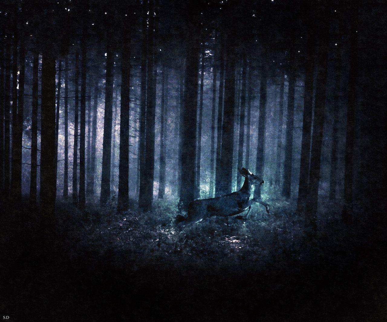 1280x1067 Lorien Wallpaper