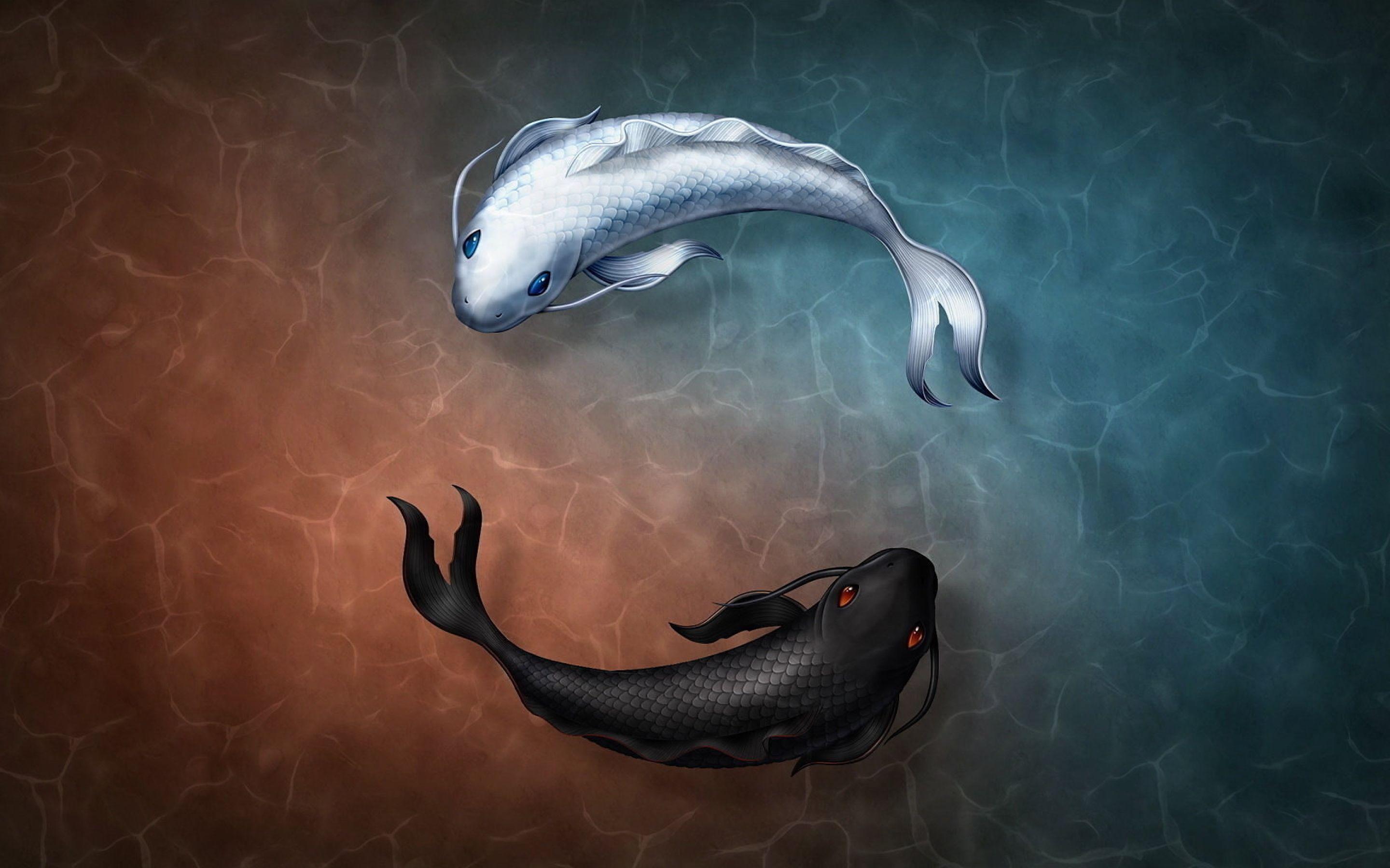 2880x1800 Yin and Yang Fish Symbol Macbook Pro Retina Wallpaper