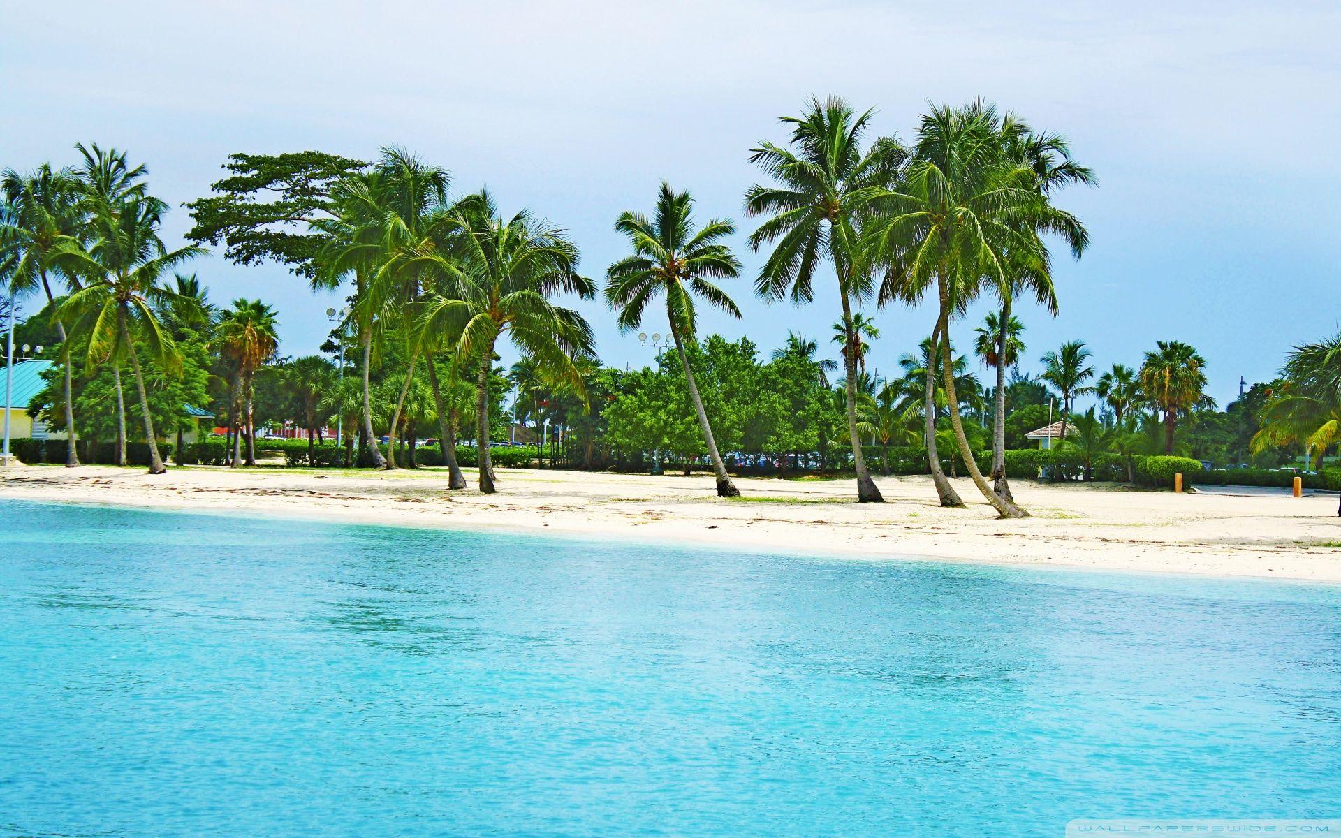 1920x1200 Bahamas Beach Ultra HD Desktop Background Wallpaper for 4K UHD TV