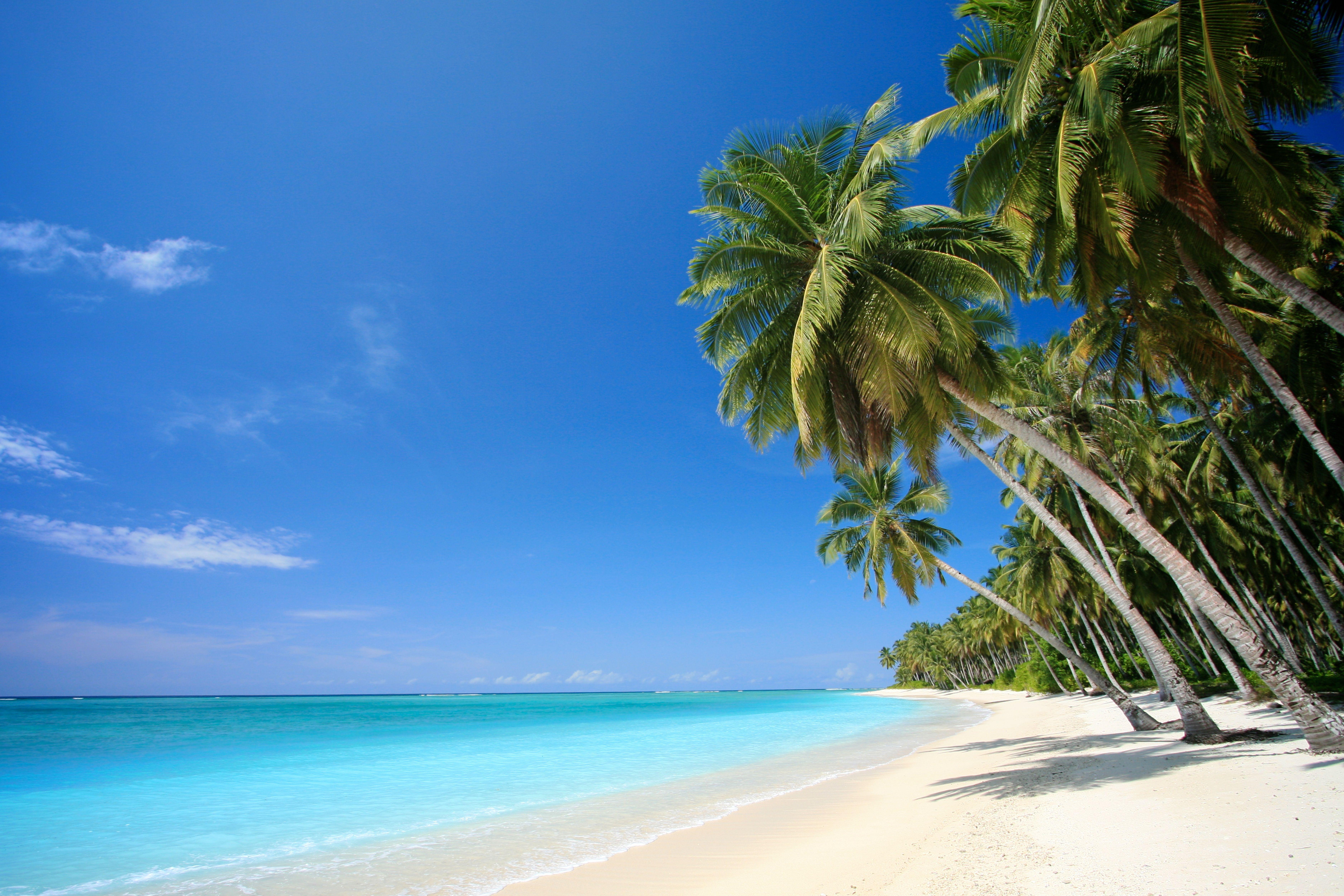 7512x5008 Free download Beach Screensaver wallpaper Tropical Beach