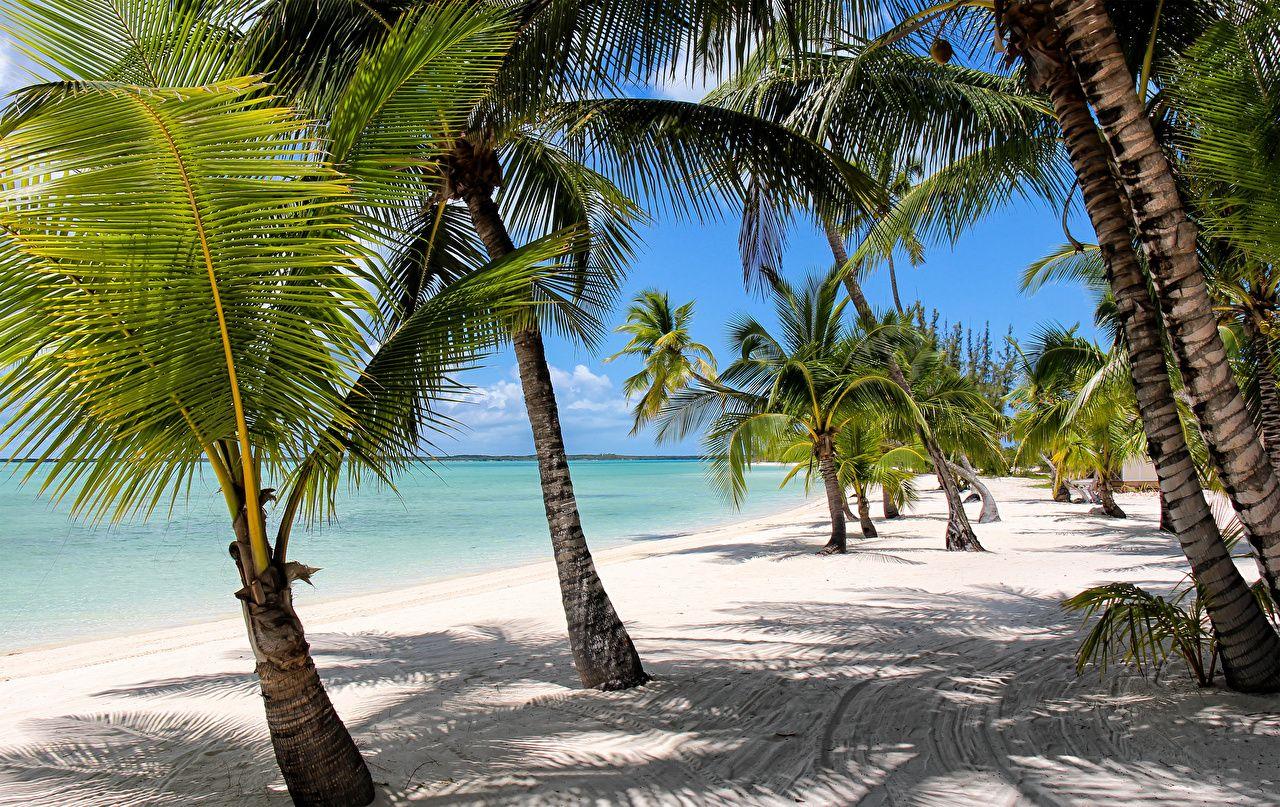 1280x807 Desktop Wallpaper Bahamas beaches Nature Sand Palms Tropics Coast