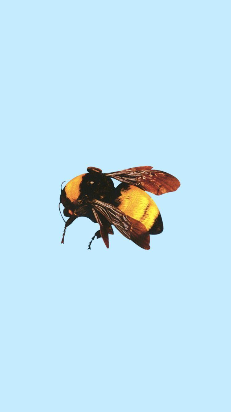 750x1334 Golf Wang Desktop Background