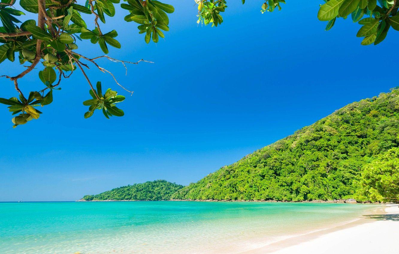 1332x850 Wallpaper sand, sea, forest, beach, the sky, leaves, the sun