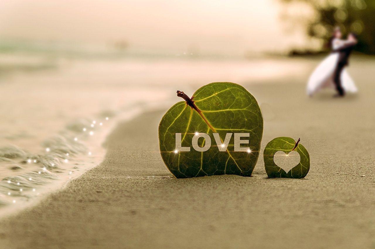 1280x853 Wallpaper Leaf lovers Heart beaches Sea Love Nature Coast