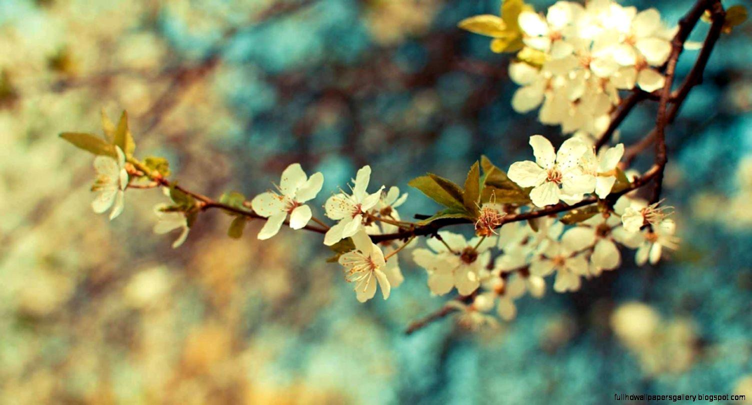 1504x810 Vintage Wallpaper Desktop. Full HD Wallpaper