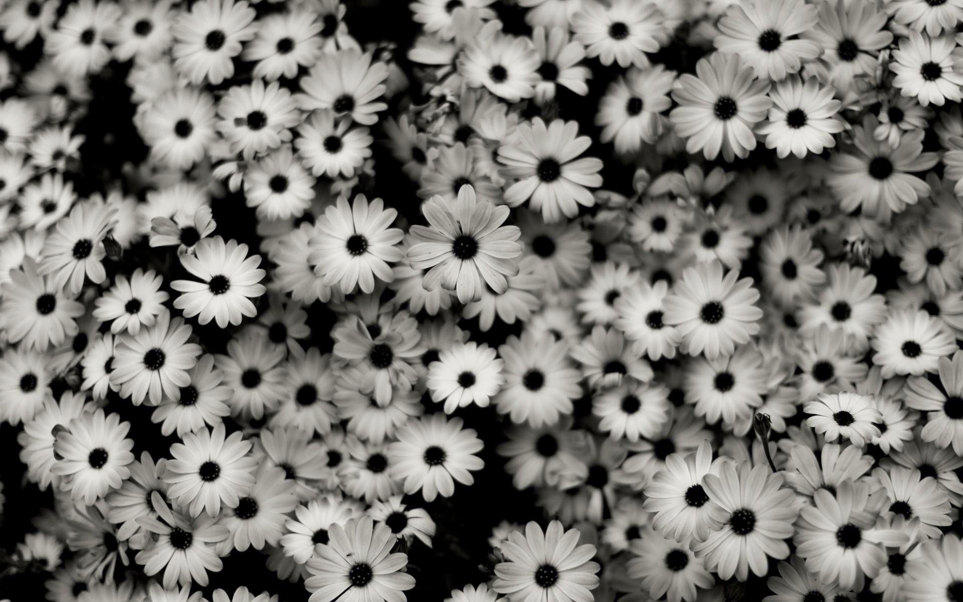 1920x1200 Aesthetic Cute Tumblr Wallpaper For Laptop