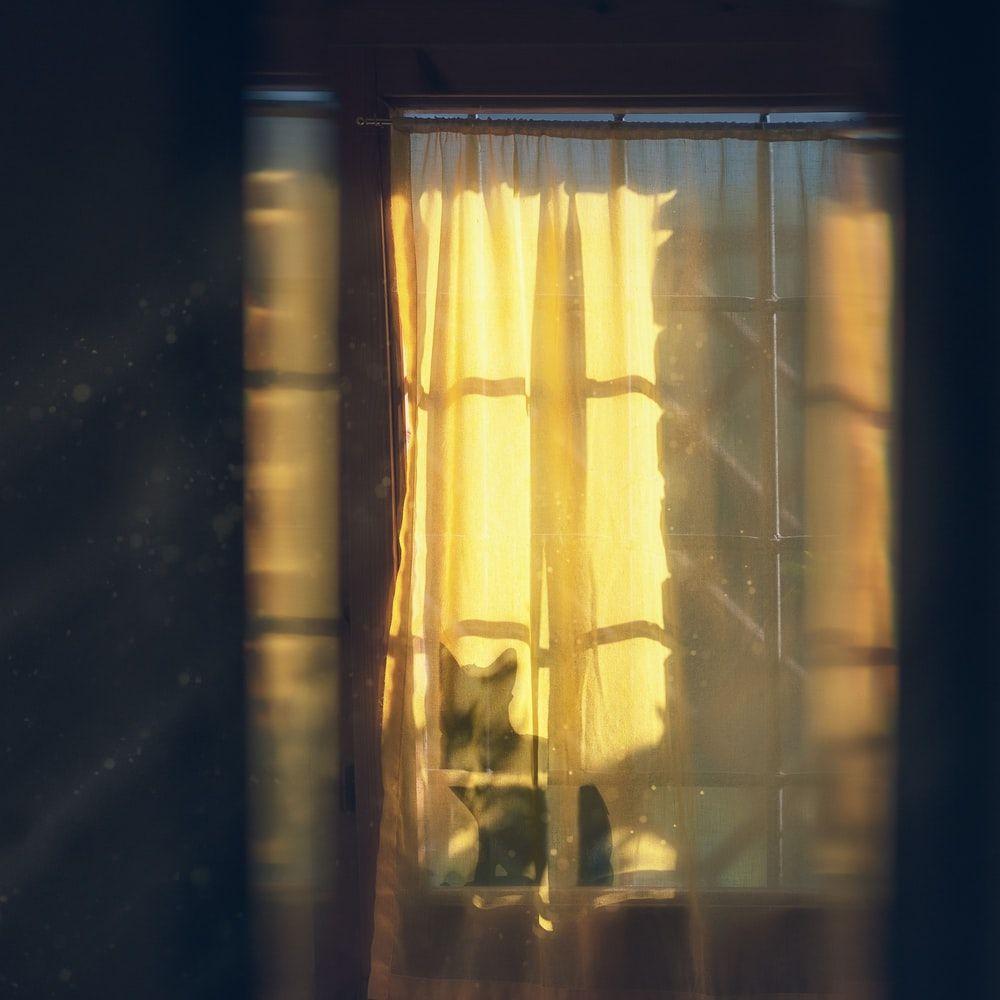 1000x1000 Sunrays Picture. Download Free Image