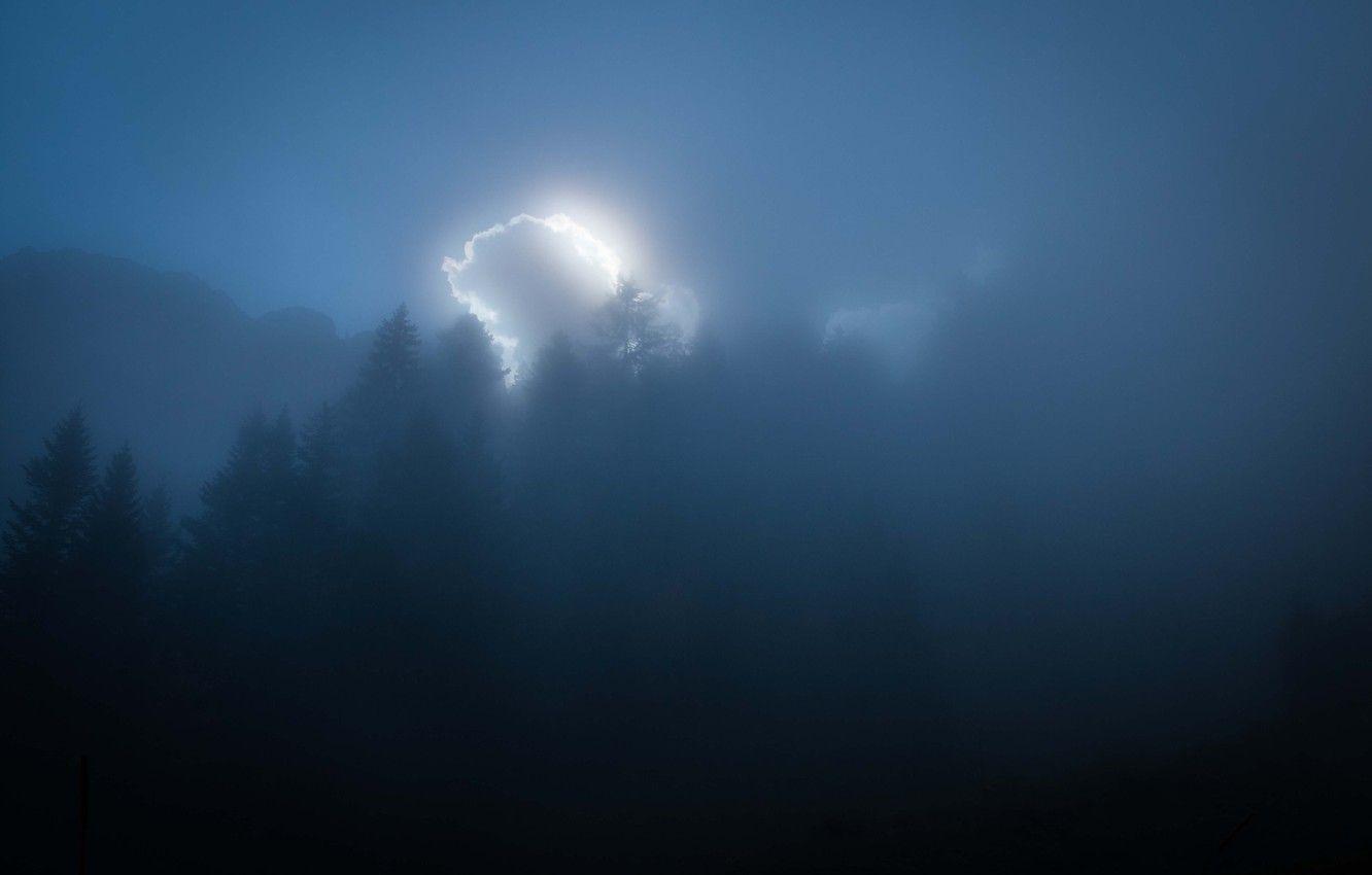 1332x850 Wallpaper forest, misty, mountains, clouds, sunlight, foggy