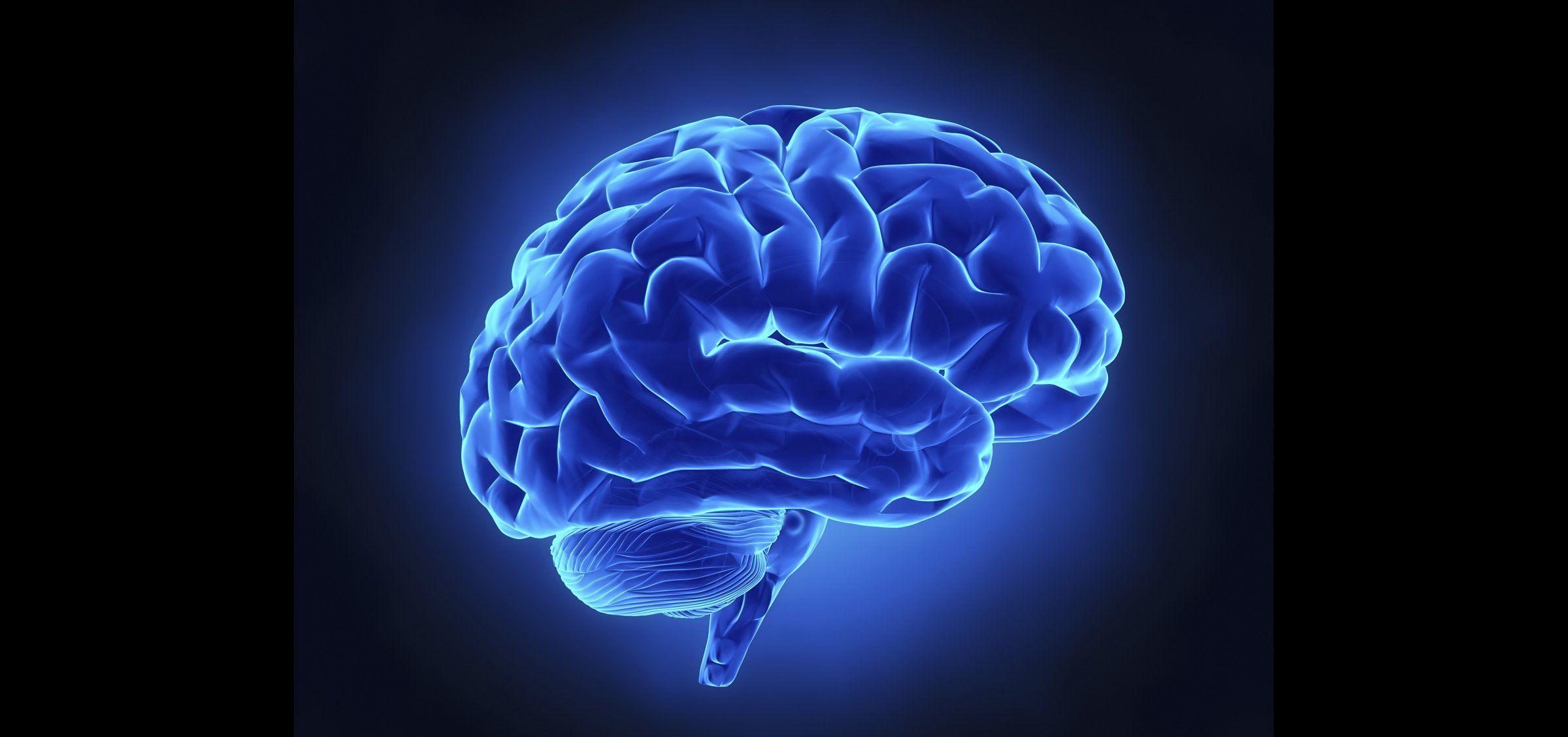 2400x1128 Brain Wallpaper