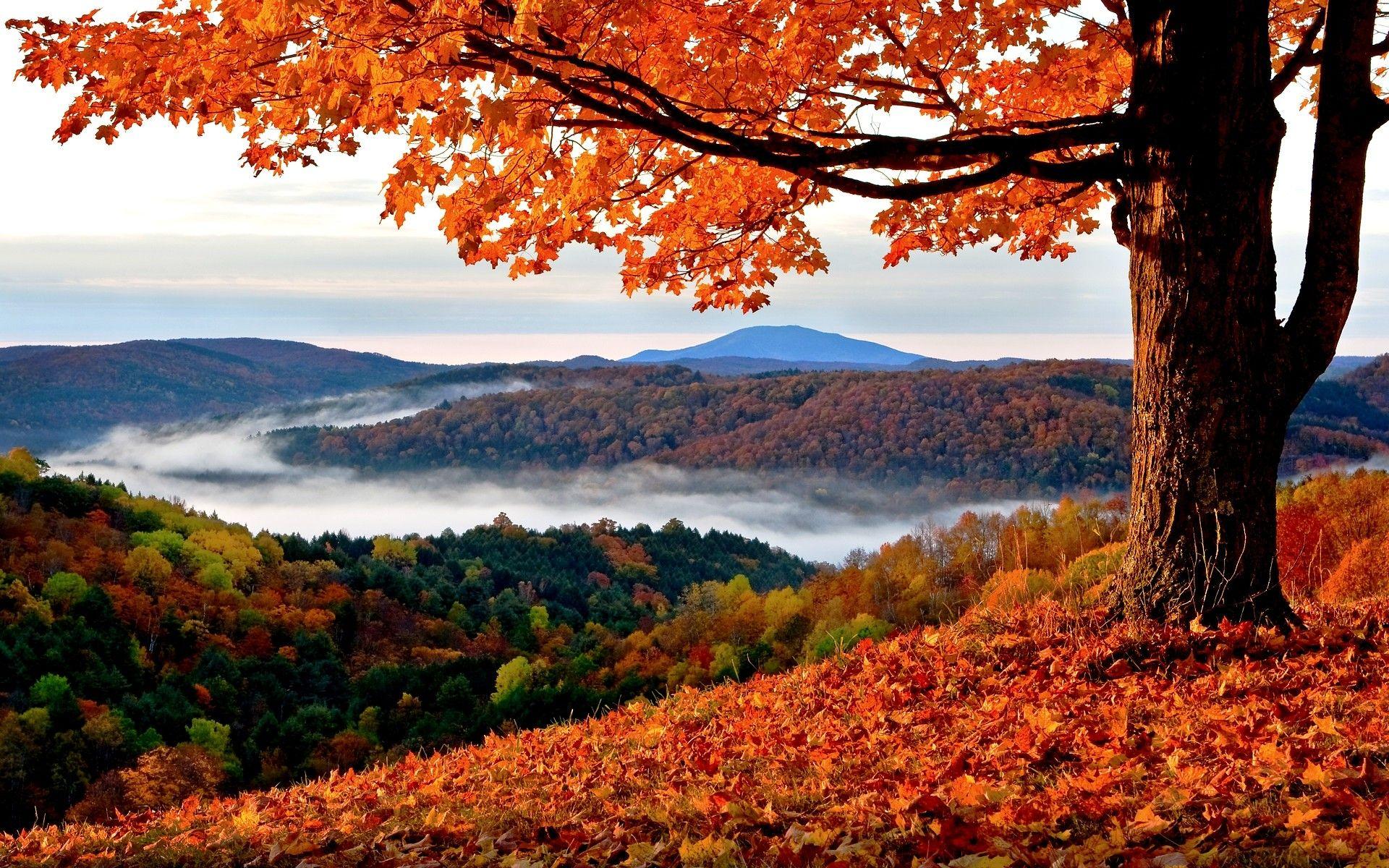 Autumn Mountain Wallpapers Top Free Autumn Mountain Backgrounds WallpaperAccess