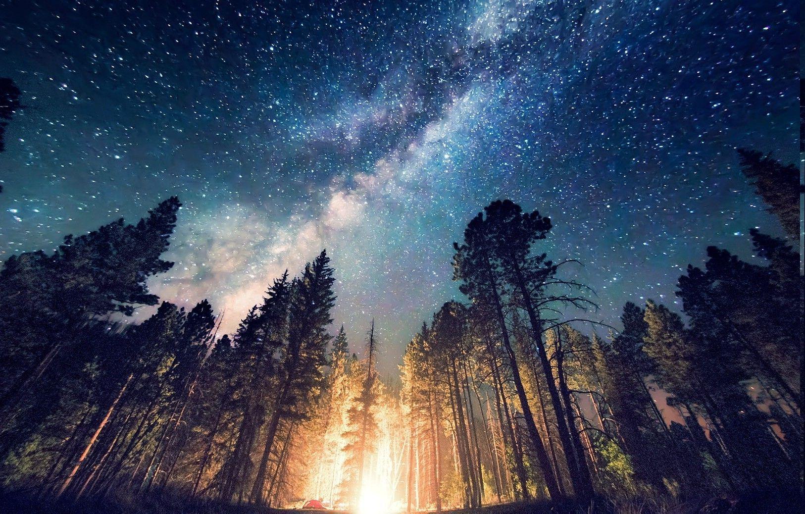 1626x1038 forest Camping Starry Night Trees Milky Way Long Exposure. Landscape, Nature, Nature photography