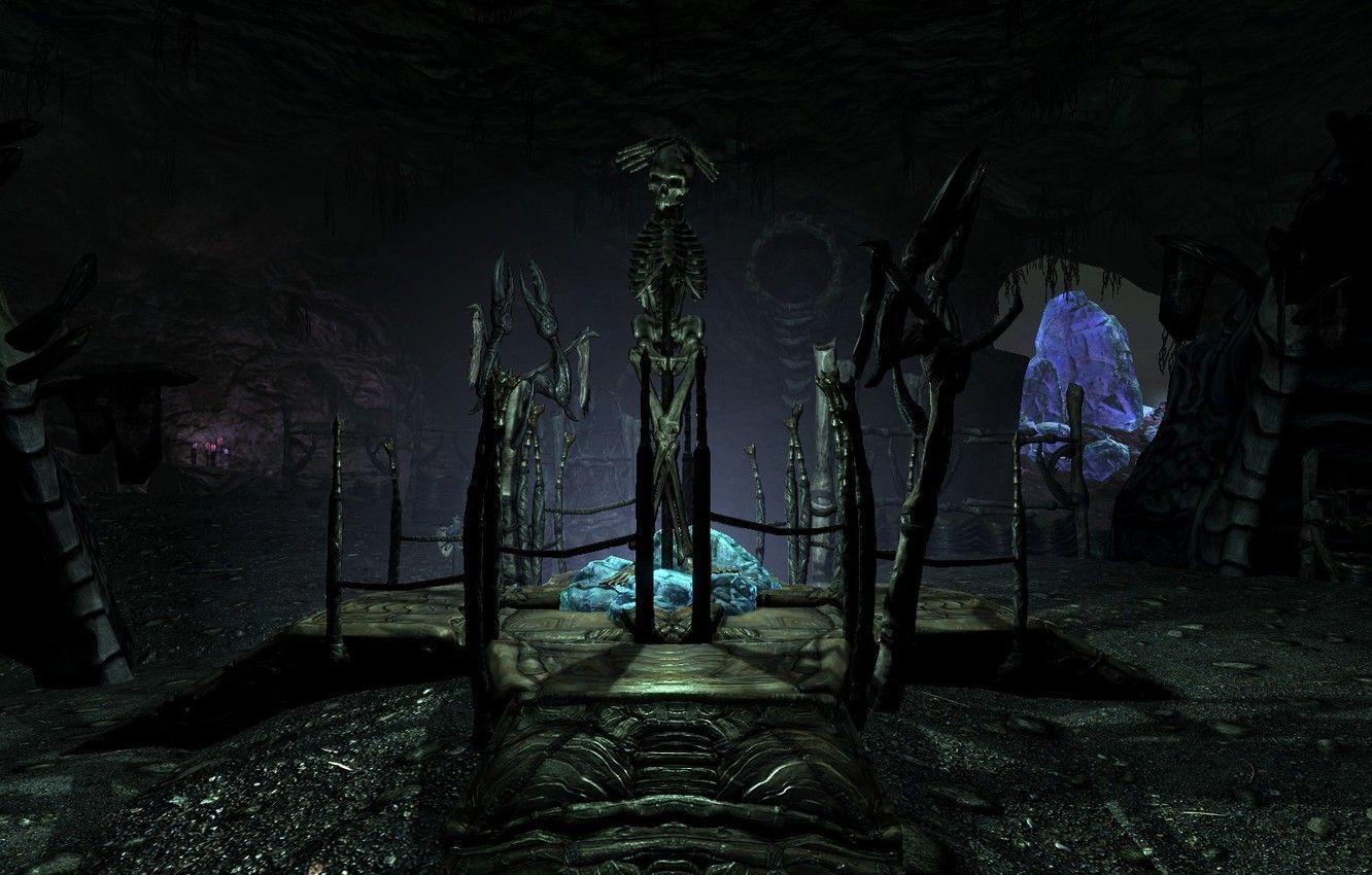 1332x850 Wallpaper game, skeleton, cave, skyrim, Skyrim, dawnguard image