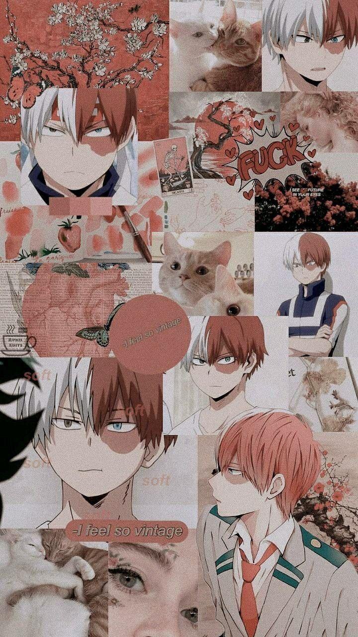 720x1280 Shoto Todoroki từ hình nền My Hero Academia <3