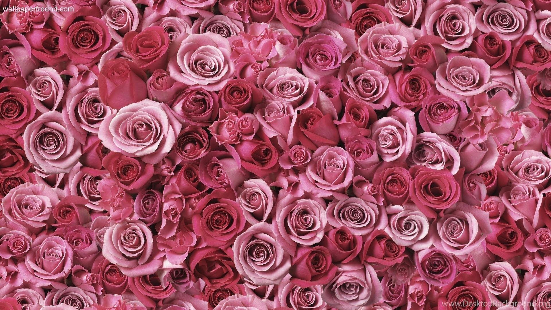 1920x1080 Desktop Pink Computer Wallpaper Wallpaper 3D HD Picture
