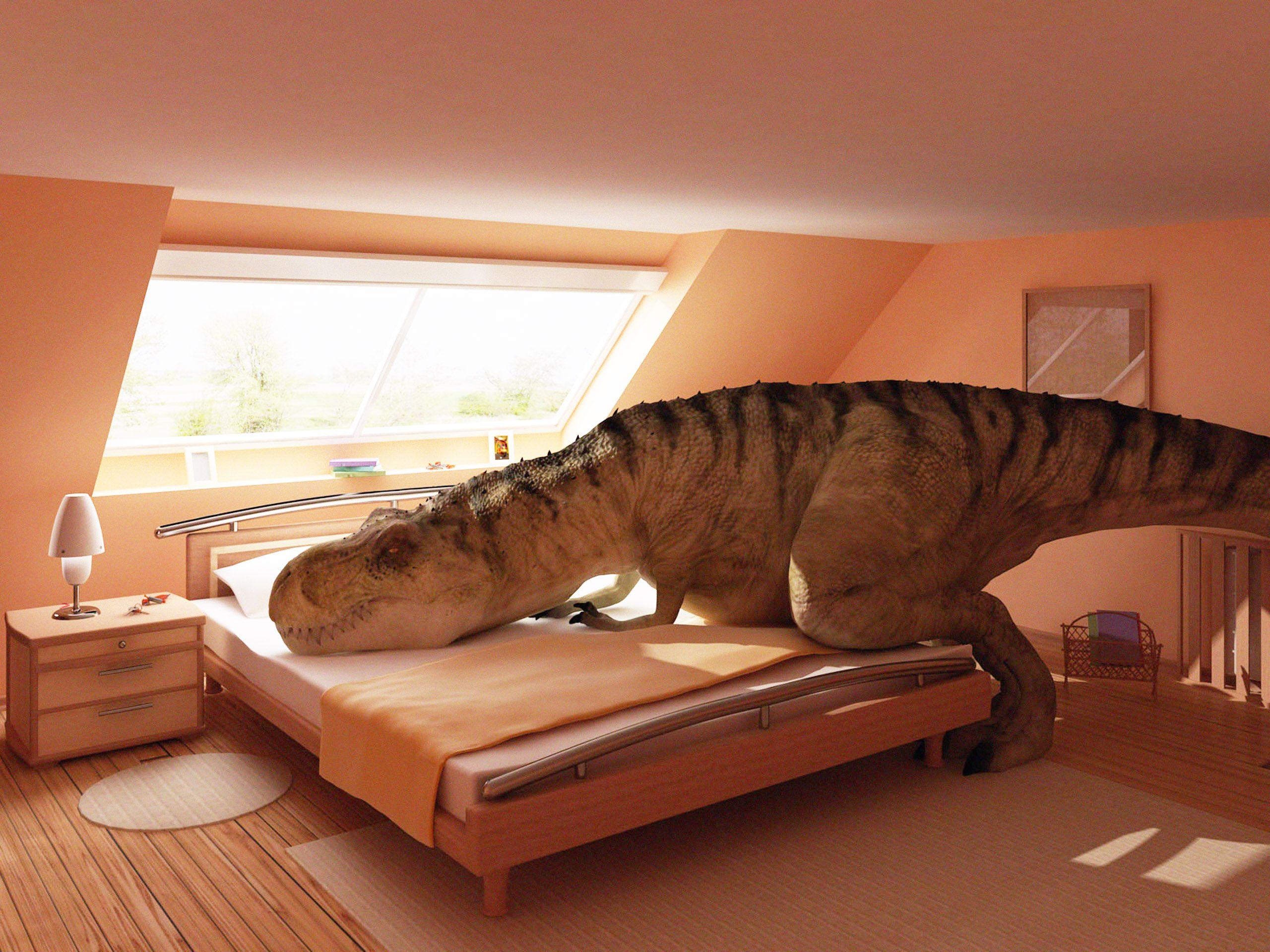 2560x1920 Weird HD Wallpaper and Background Image