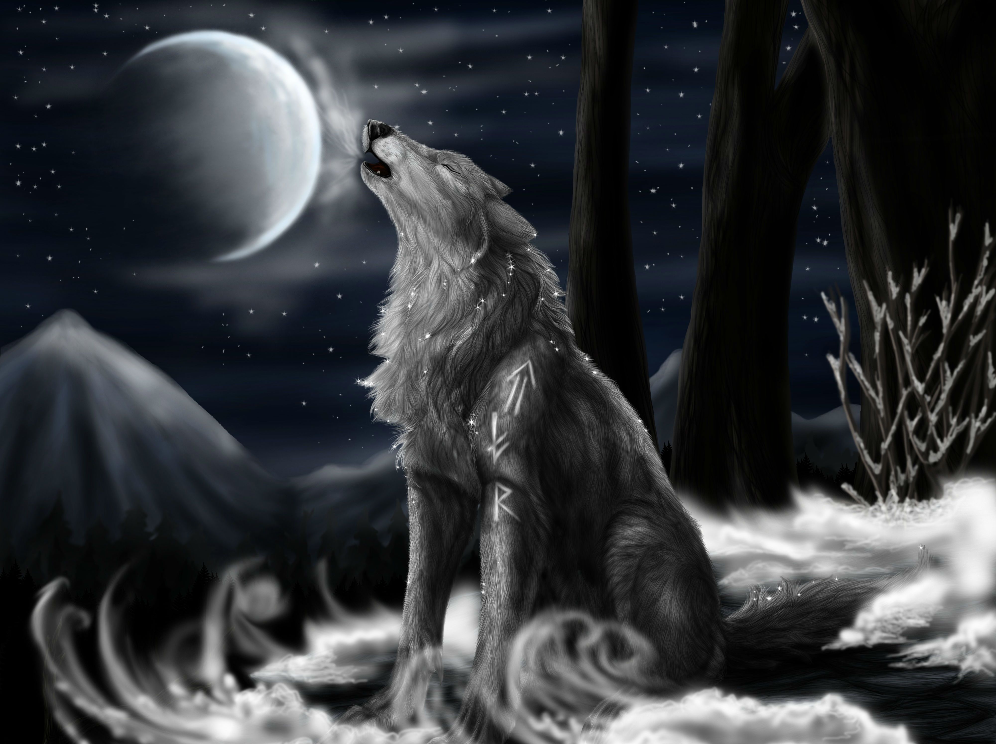 4000x2990 Desktop wallpaper: Wolf, Wolves, Animal 4K free download for PC. 279049