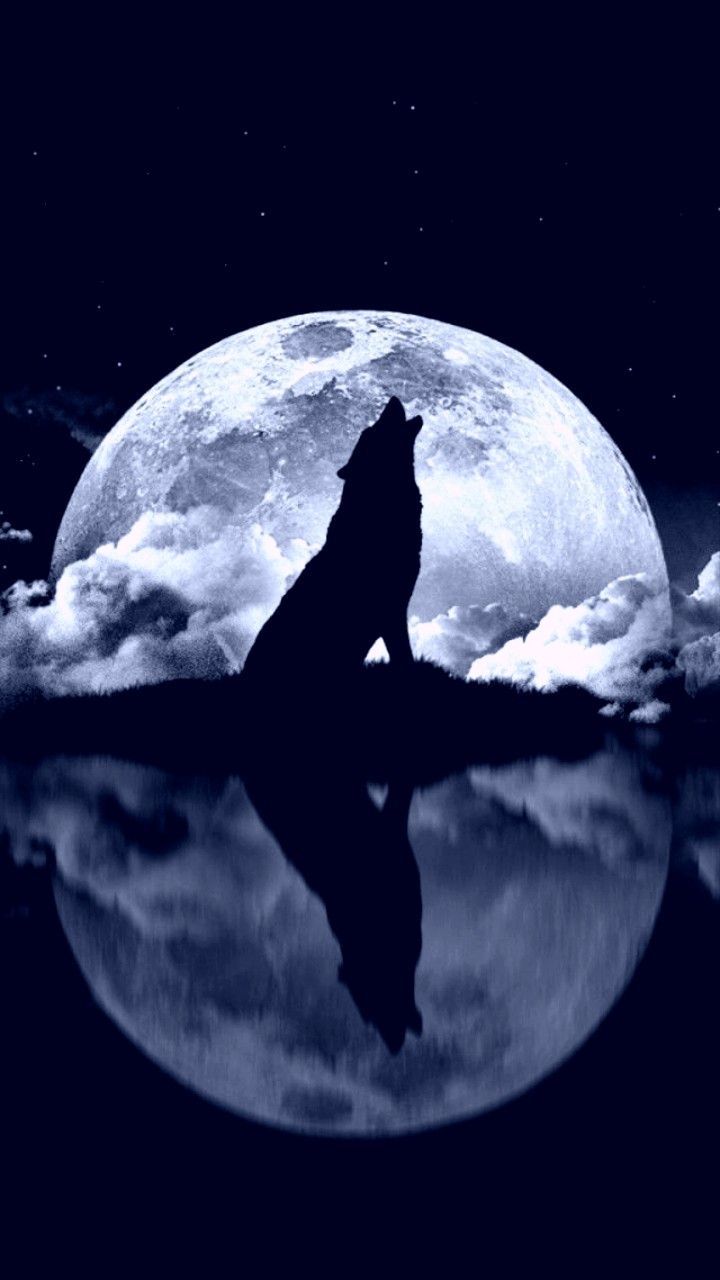 720x1280 Magical Wolf in Front of Full Moon. Sigma wolf looking at moon, Moon and wolf wallpaper, Wolf with moon and clouds