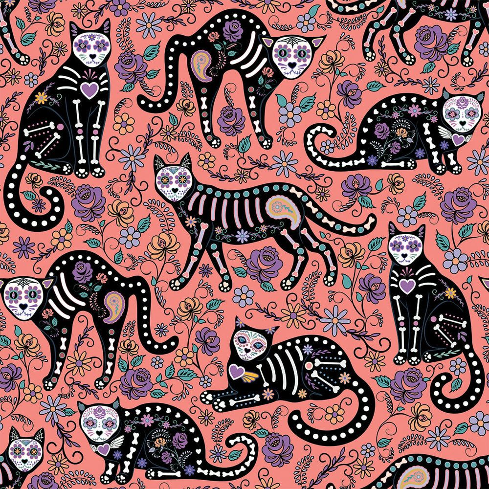 1000x1000 El Gato Wallpaper in Peachy Pink