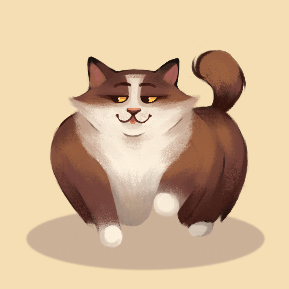1000x1000 Cat gifs