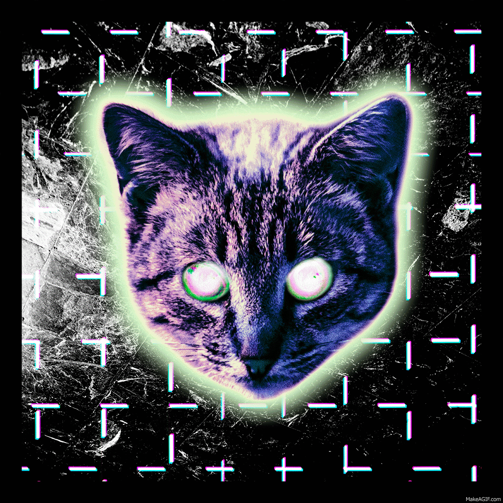 1024x1024 SPACE CAT on Make a GIF