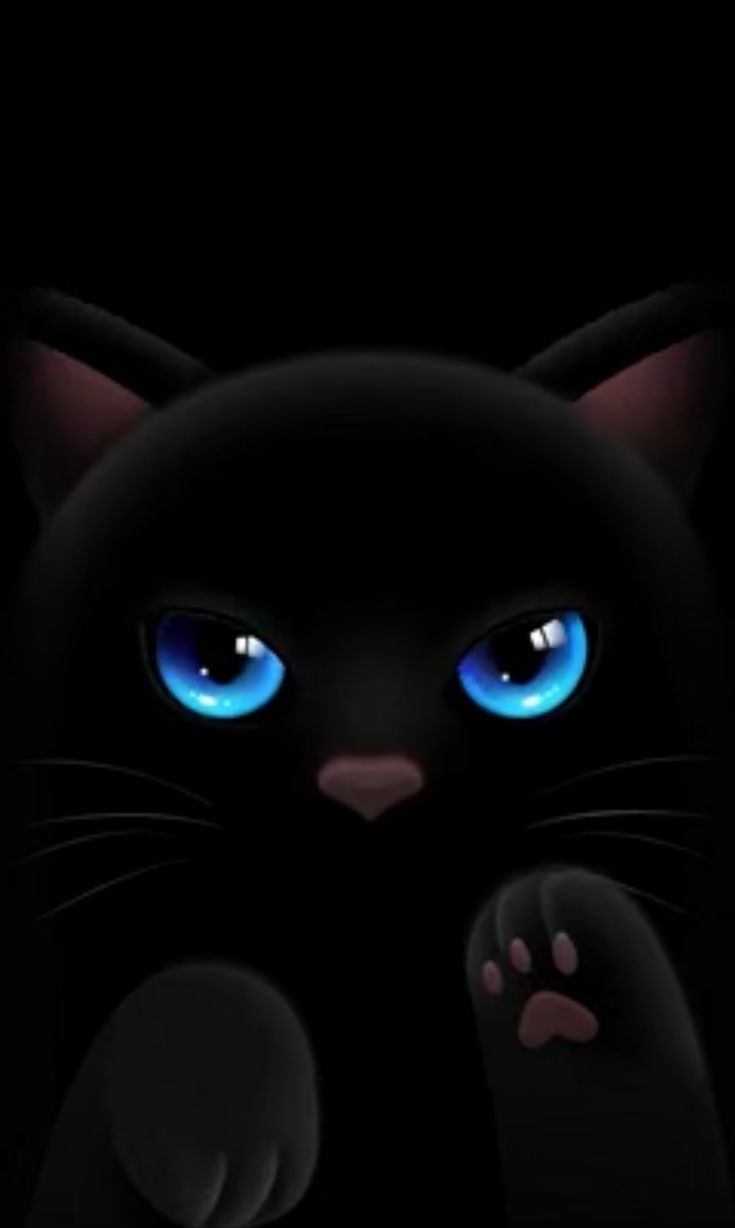 735x1228 Crazy cat gifs. Live wallpaper iphone cat, Cat wallpaper video, Cat phone wallpaper