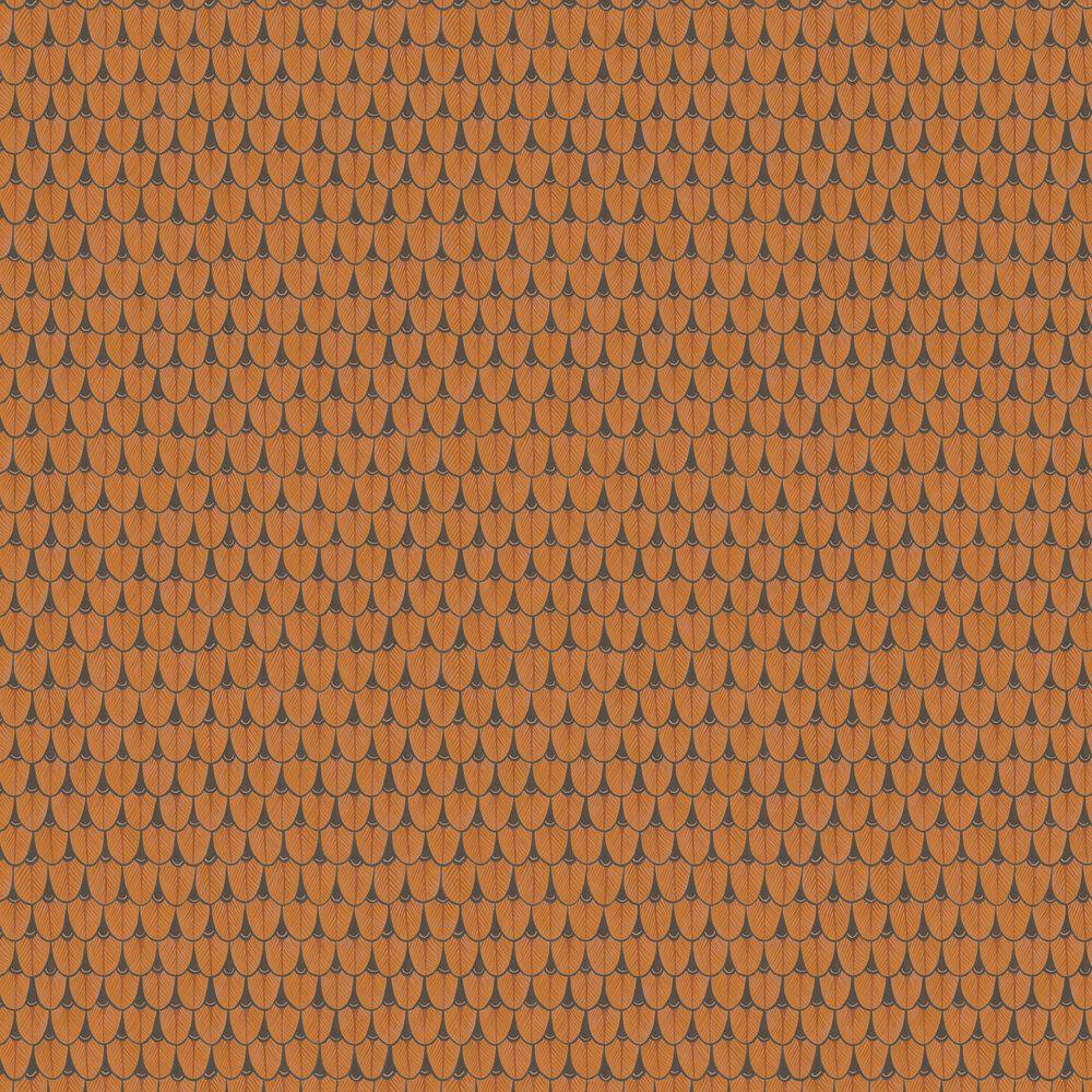 Burnt Orange Wallpapers Top Free Burnt Orange Backgrounds