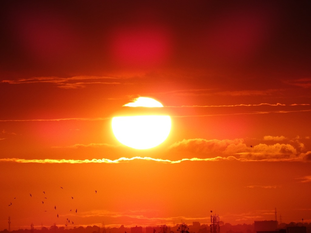 1024x768 The sun is setting over the water with birds flying in the