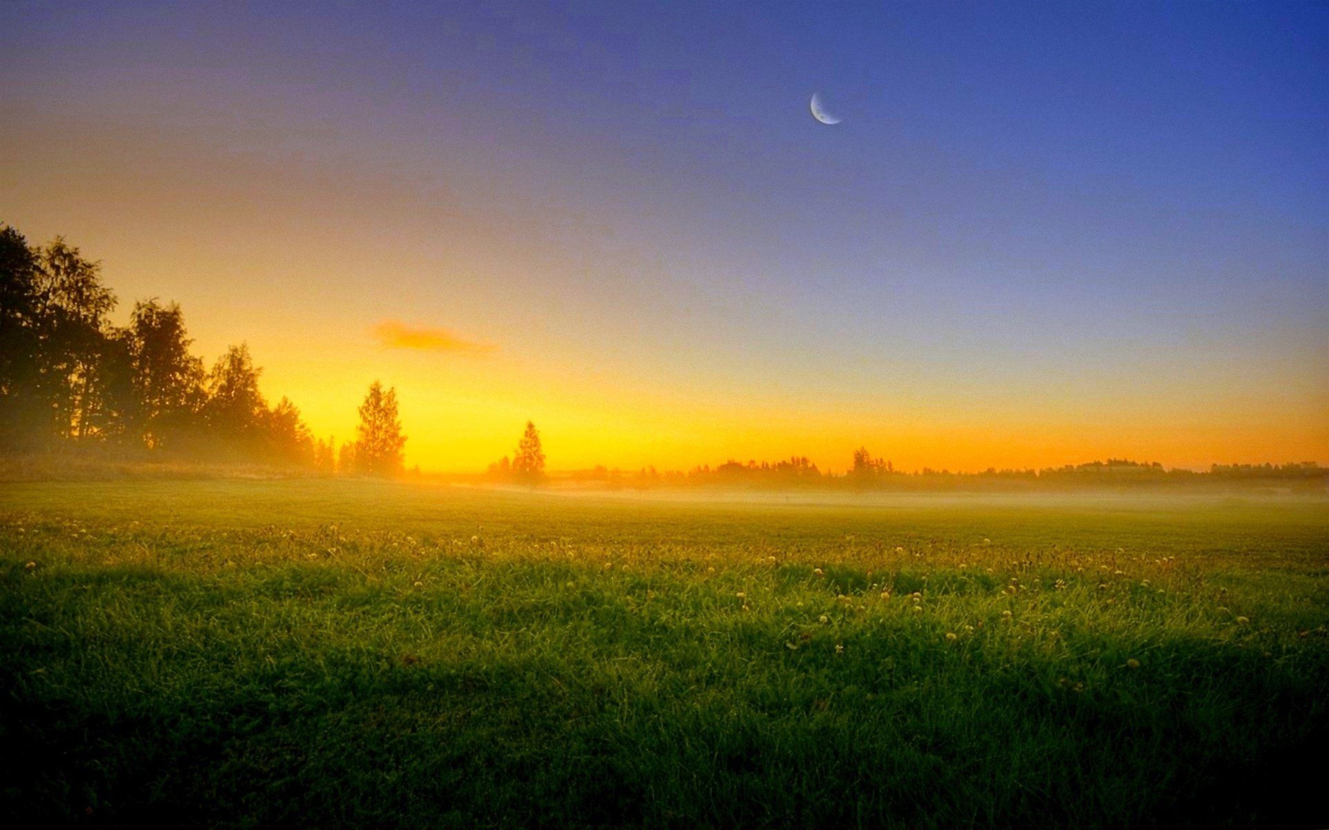1920x1200 sky, Sun, Sunset, Moon, Night, Trees, Field, Grass, Fog, Nature, Landscape Wallpaper HD / Desktop and Mobile Background