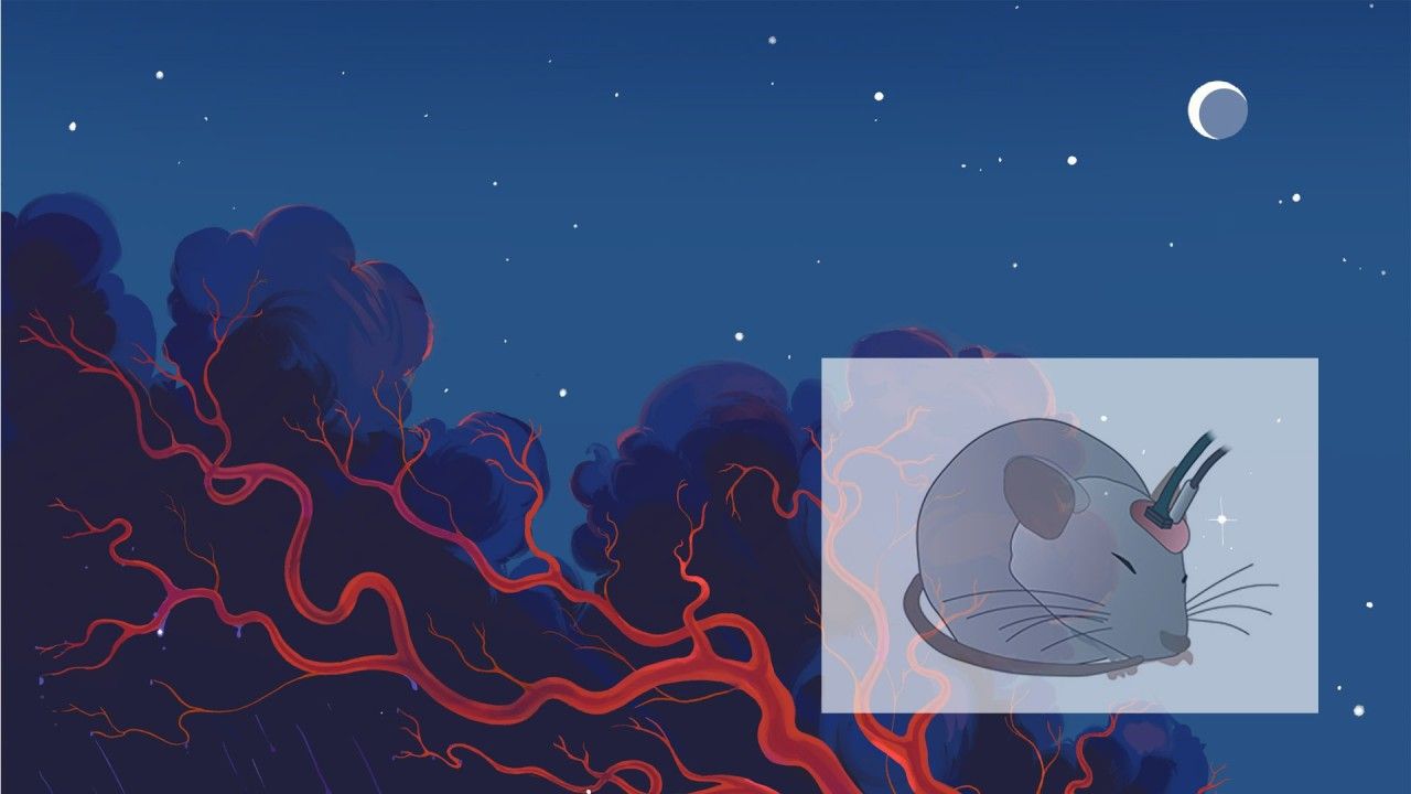1280x720 How deep sleep clears the mind