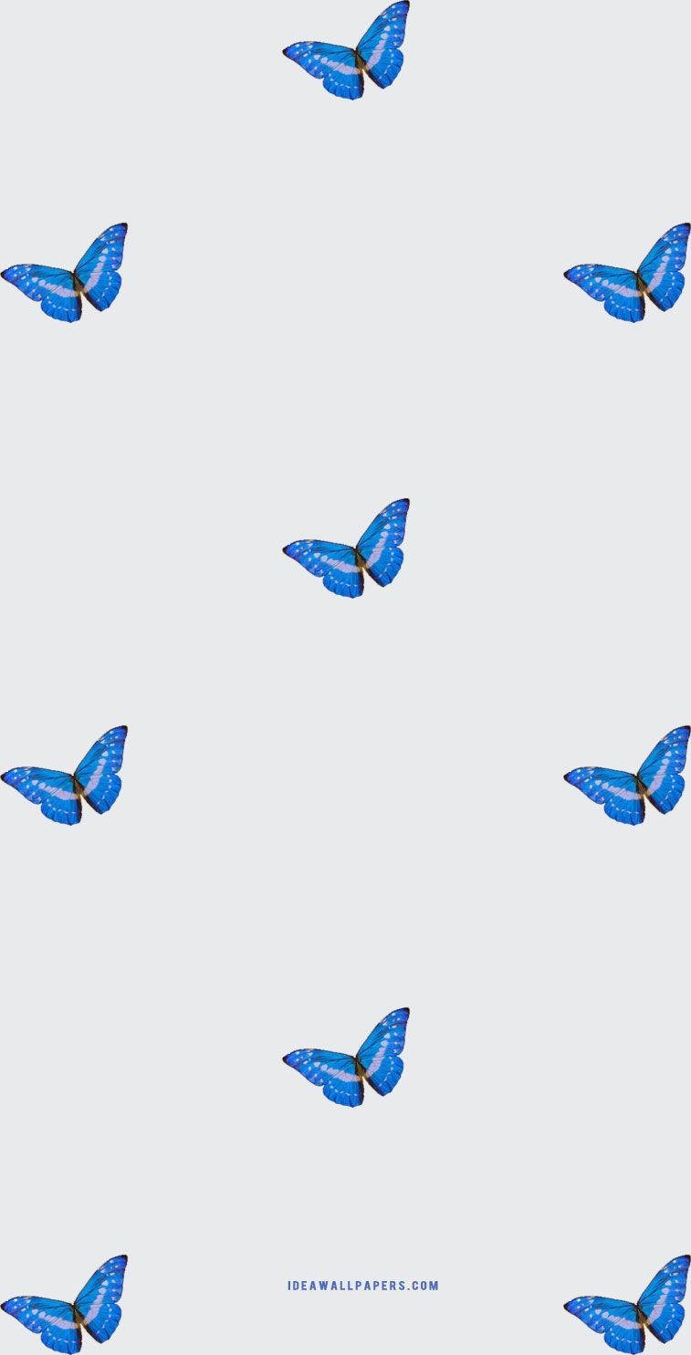 Butterfly Emoji Wallpapers - Top Free Butterfly Emoji Backgrounds