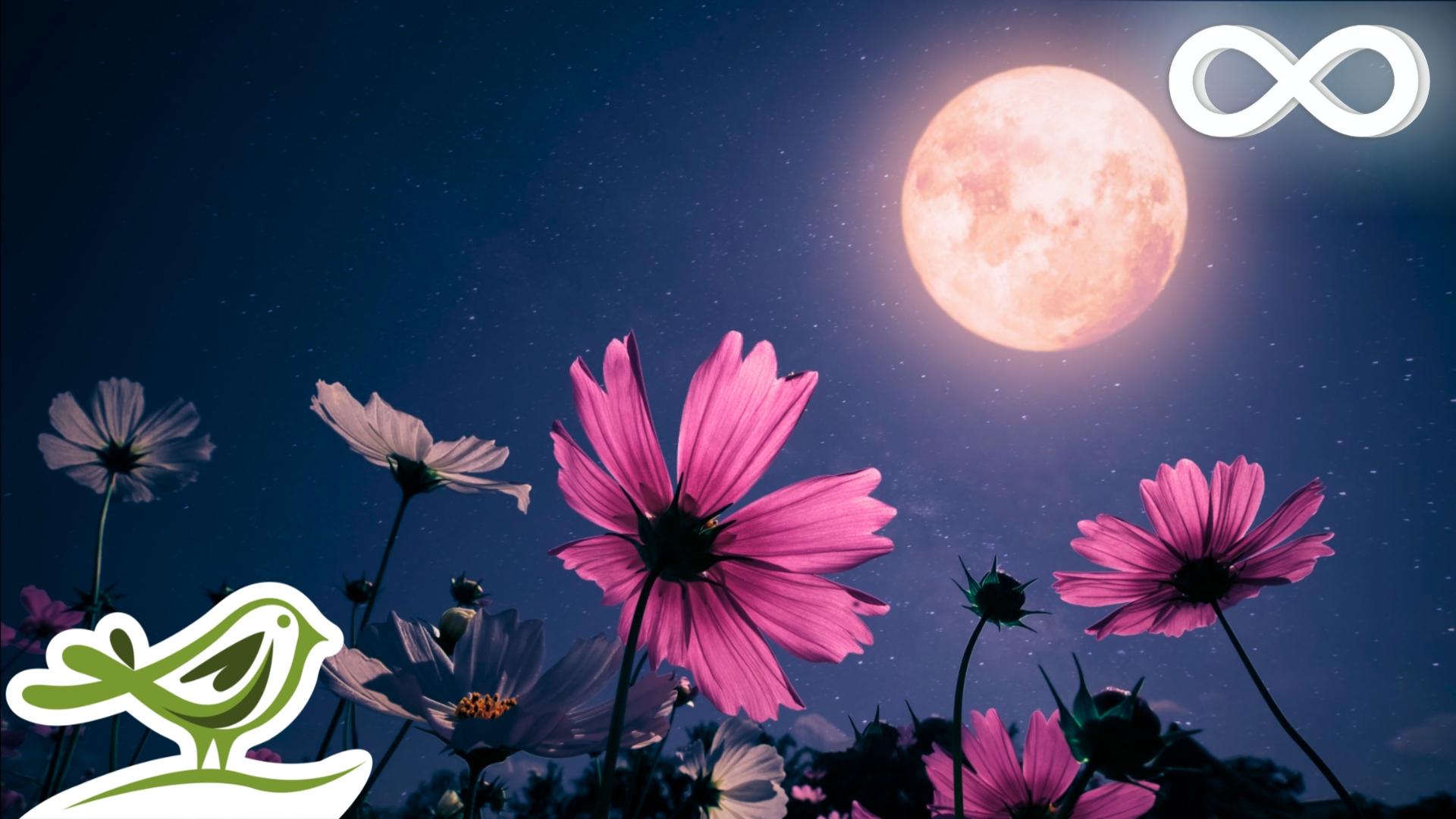 1920x1080 Midnight Calm: Deep Sleep Music with Black Screen. Fall Asleep with Ambient Music